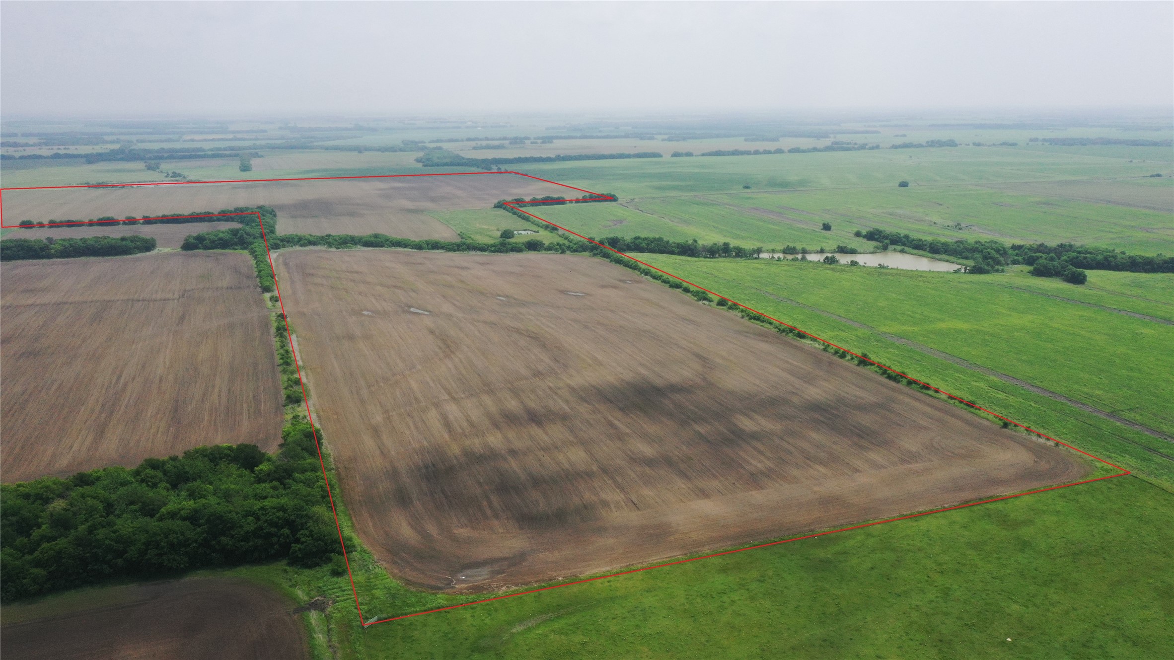 Tbd Fm 64 Pecan Gap TX 75469