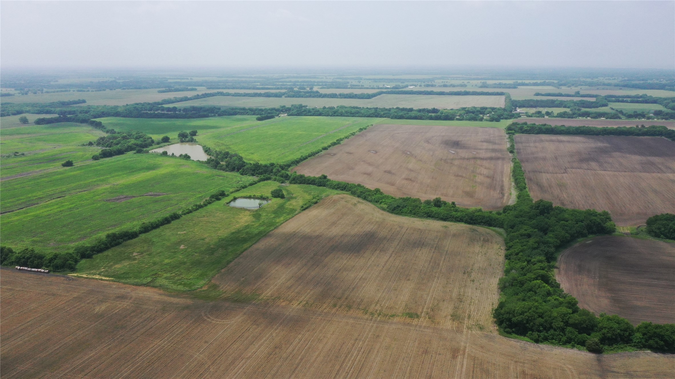 Tbd Fm 64 Pecan Gap TX 75469