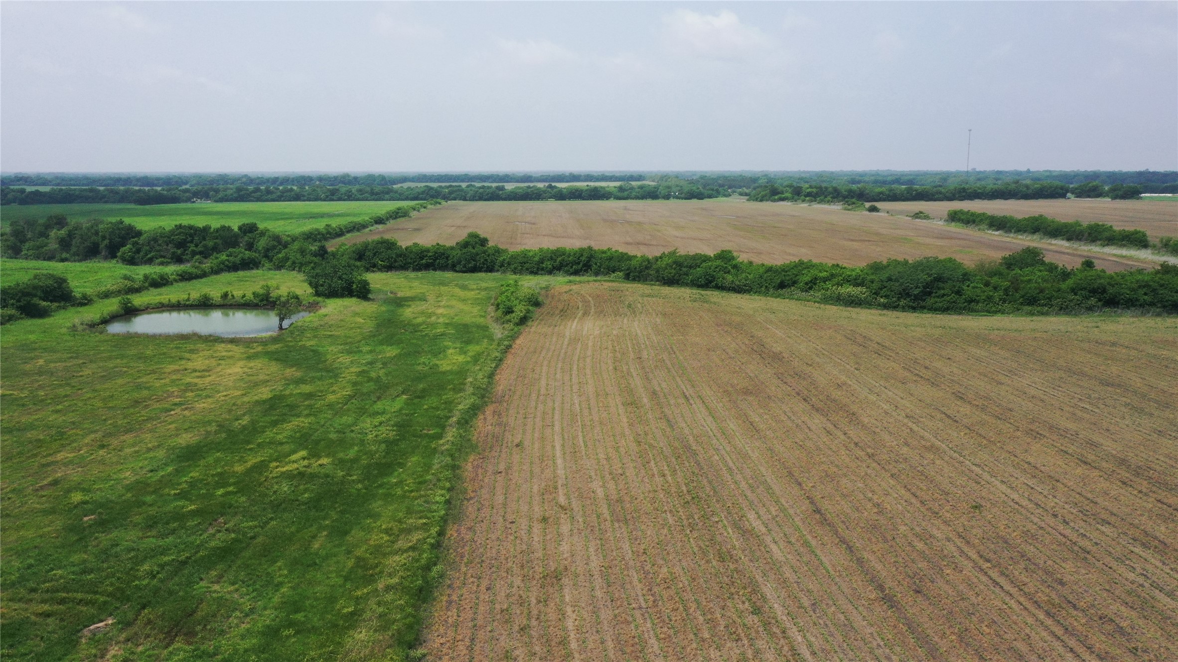 Tbd Fm 64 Pecan Gap TX 75469