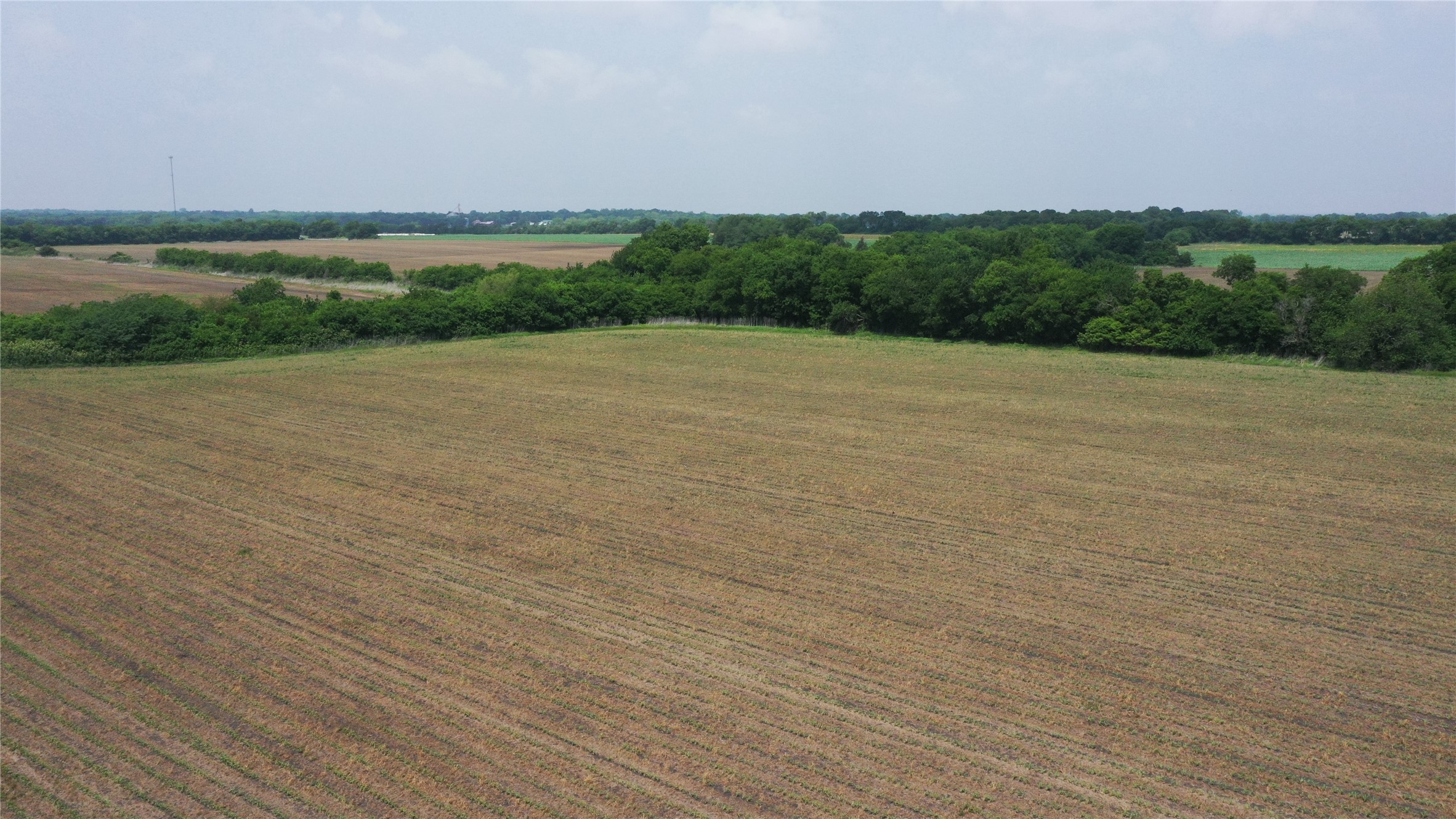 Tbd Fm 64 Pecan Gap TX 75469