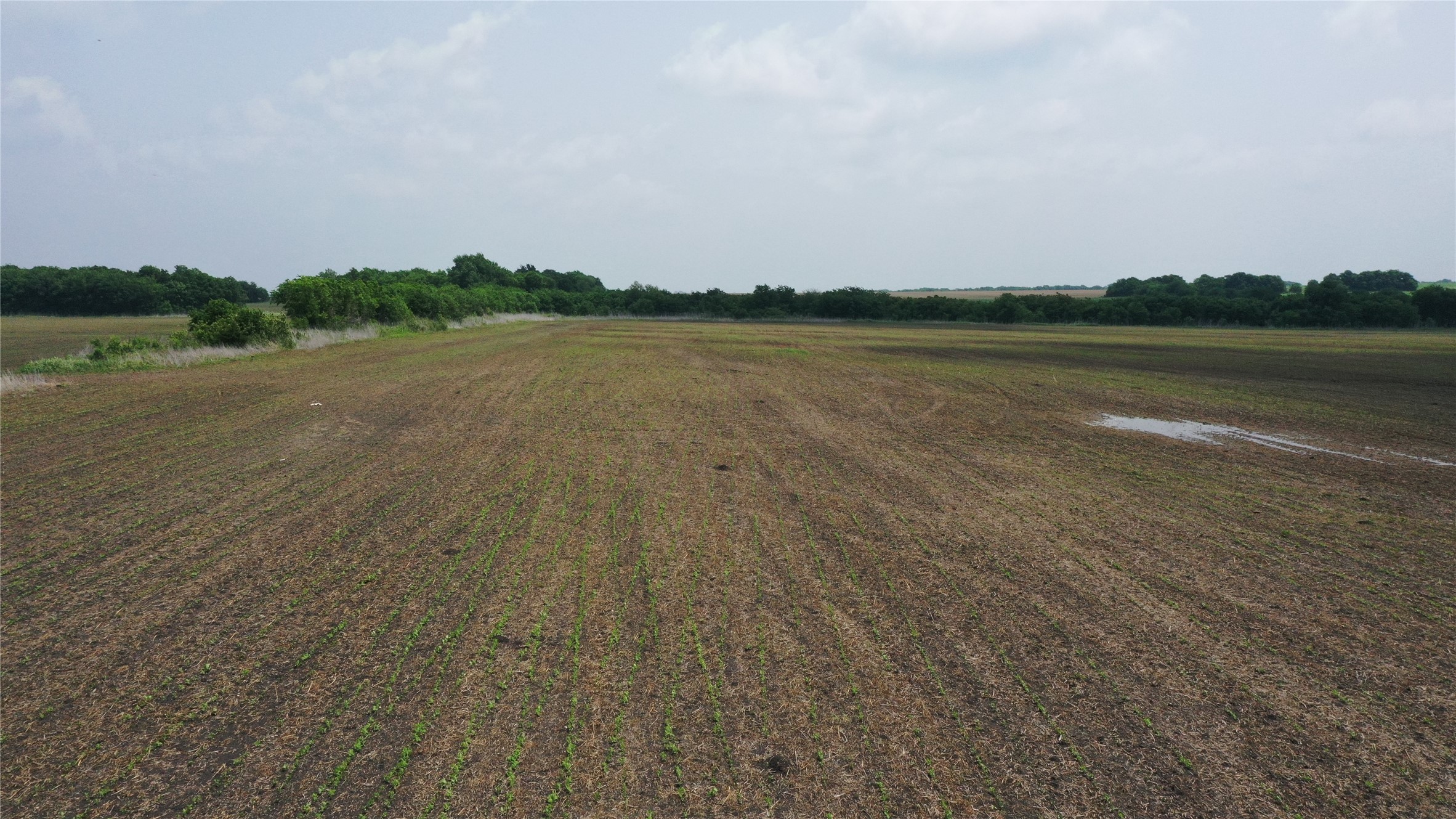 Tbd Fm 64 Pecan Gap TX 75469