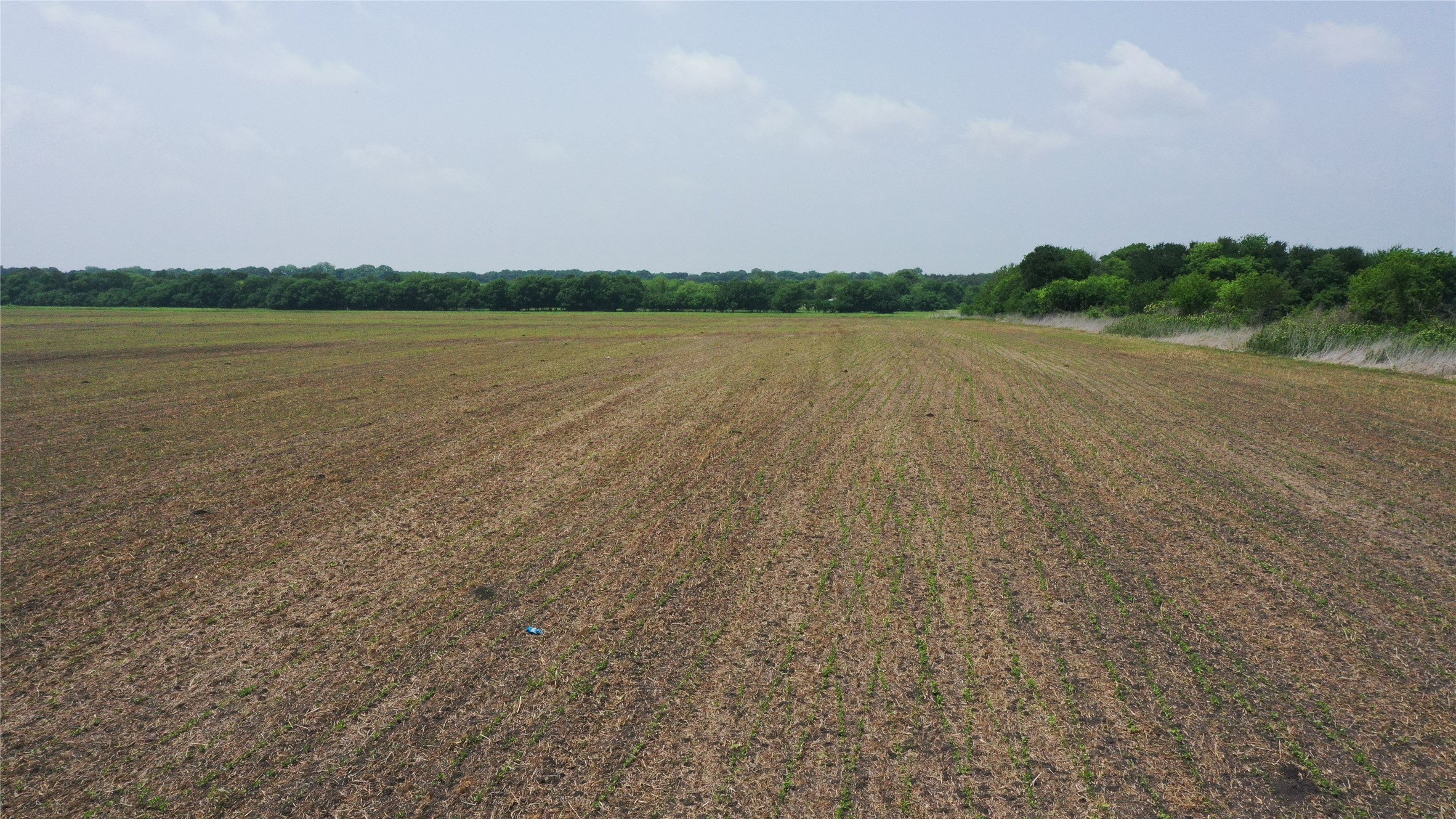 Tbd Fm 64 Pecan Gap TX 75469