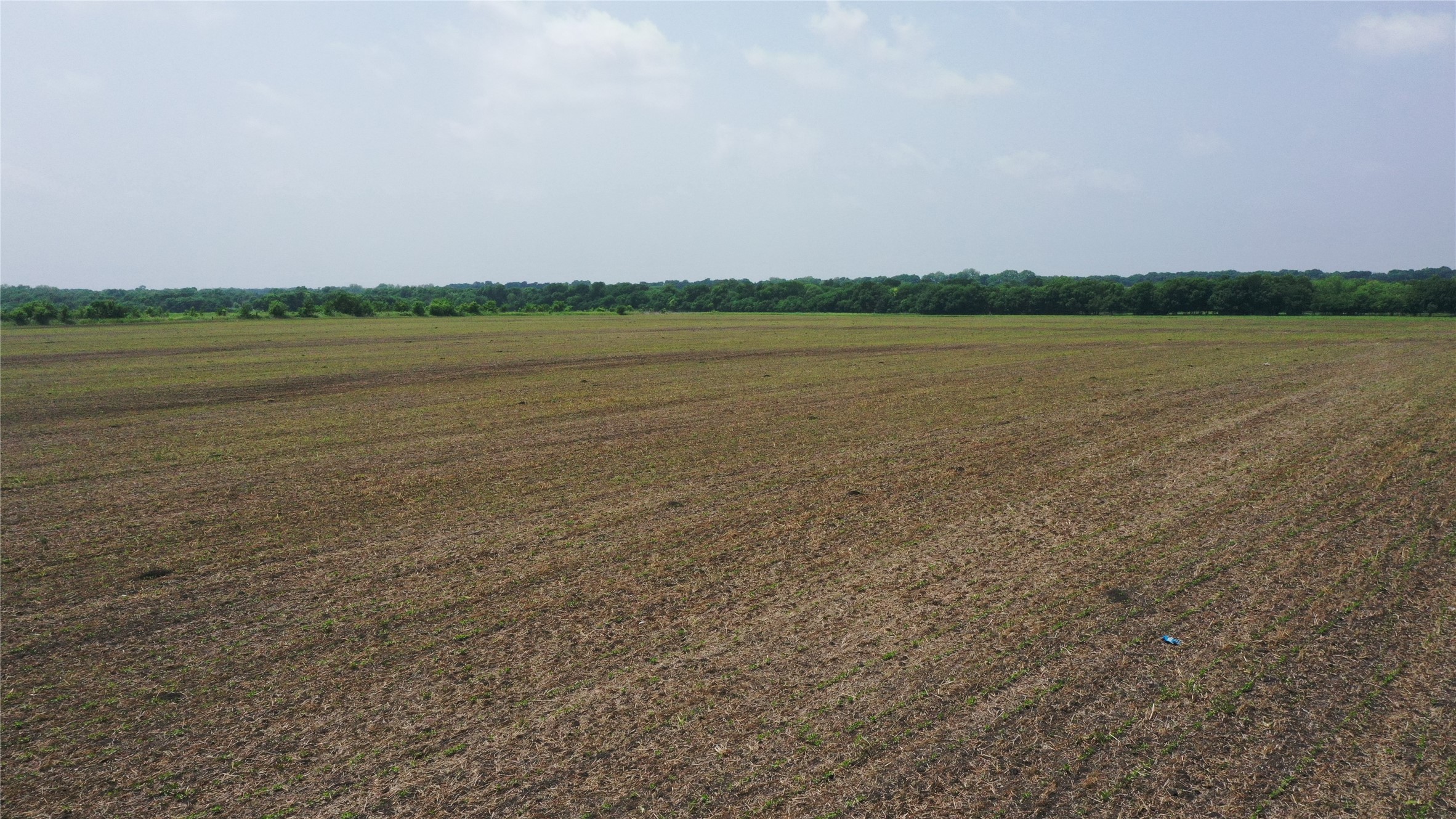 Tbd Fm 64 Pecan Gap TX 75469