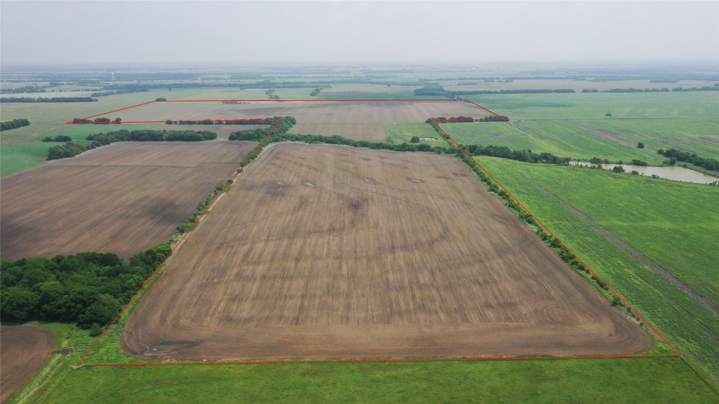 Tbd Fm 64 Pecan Gap TX 75469