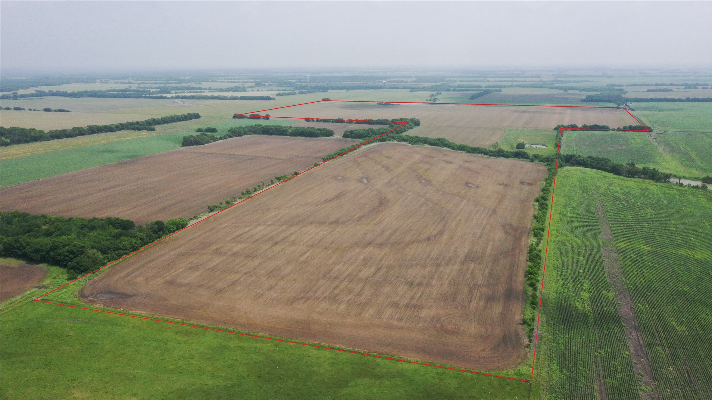 Tbd Fm 64 Pecan Gap TX 75469