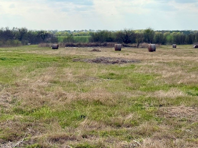 Tbd Fm 64 Pecan Gap TX 75469
