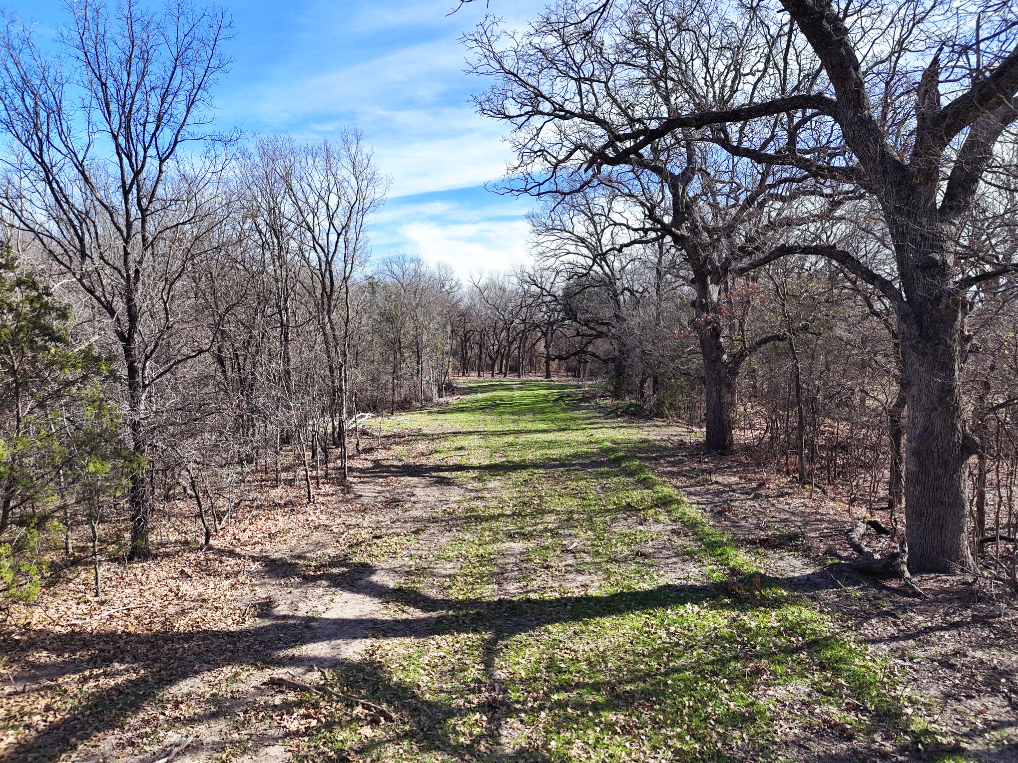 0000 Overton Court Granbury TX 76048