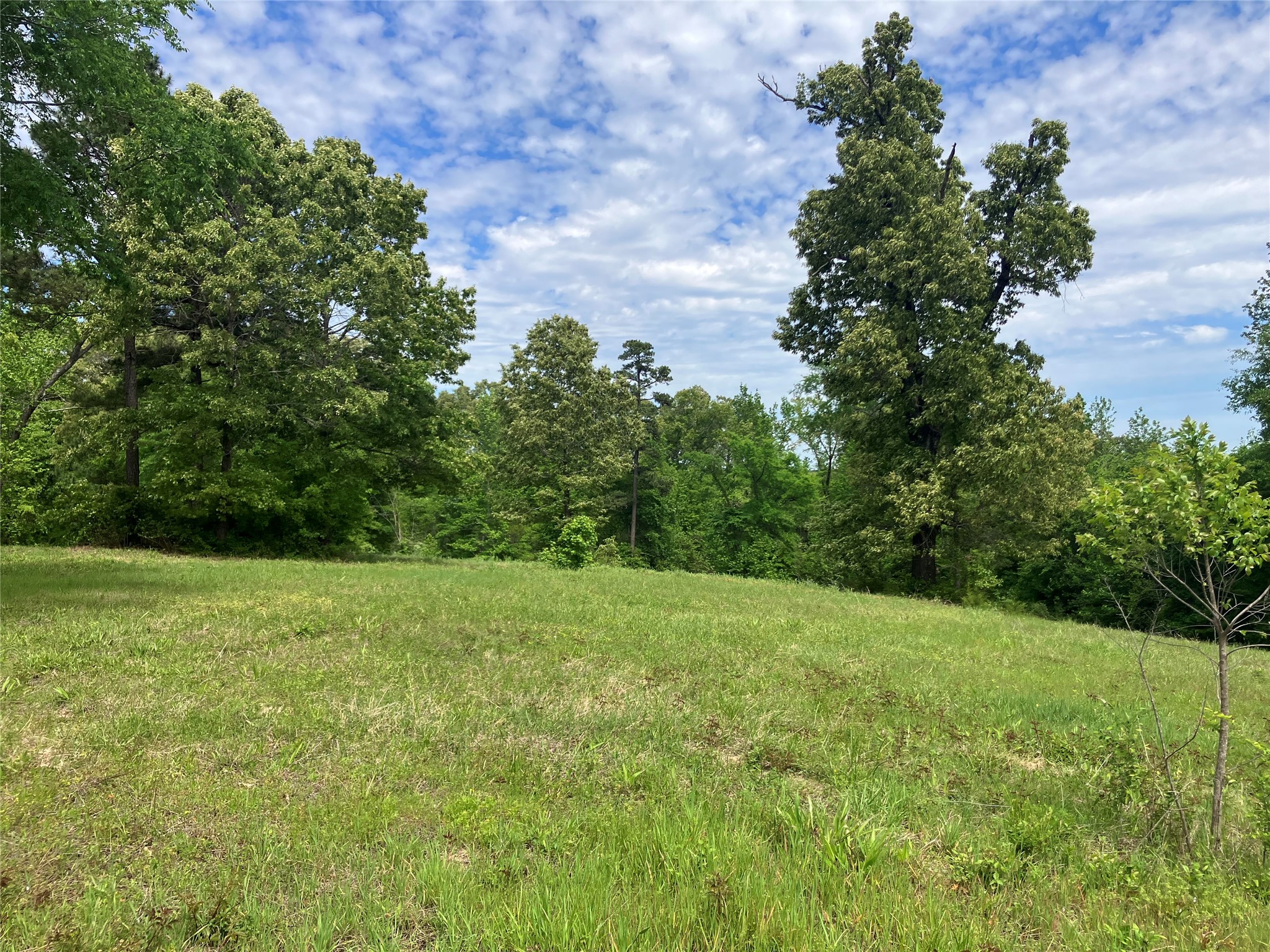 Tbd Ridgeline Loop Winona TX 75792
