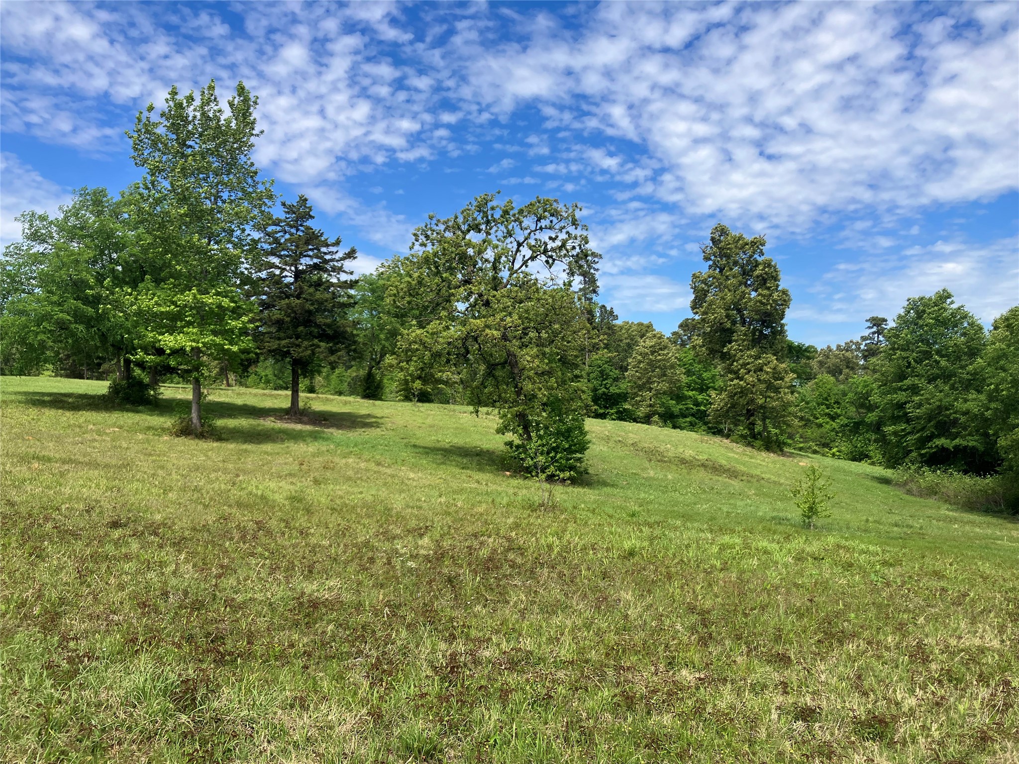Tbd Ridgeline Loop Winona TX 75792