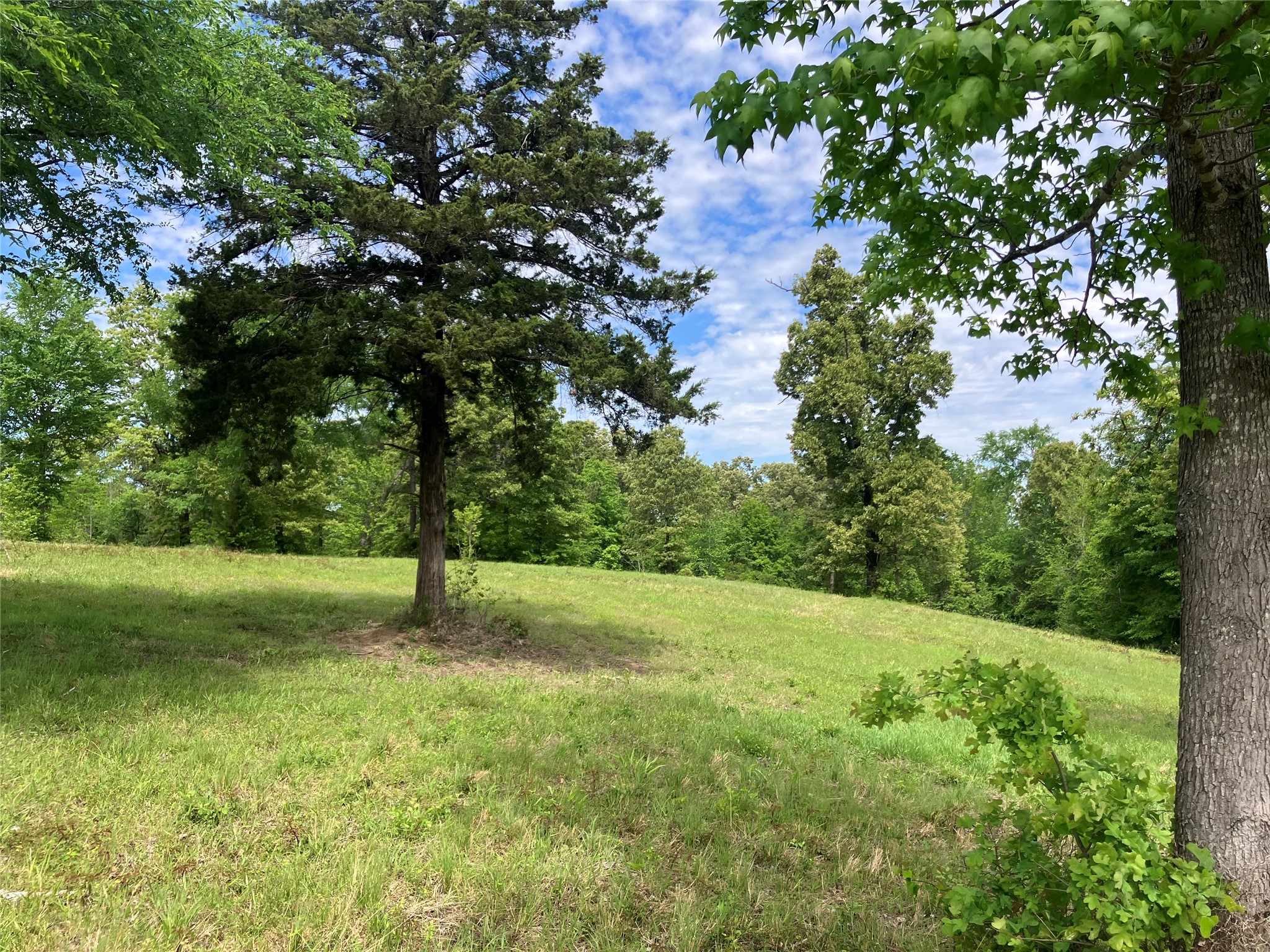 Tbd Ridgeline Loop Winona TX 75792