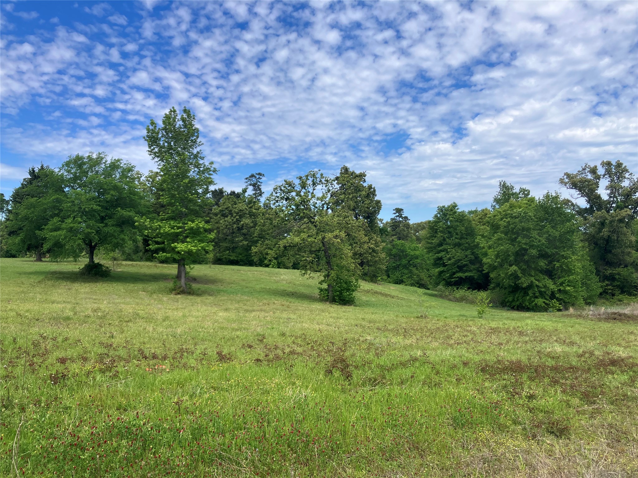 Tbd Ridgeline Loop Winona TX 75792