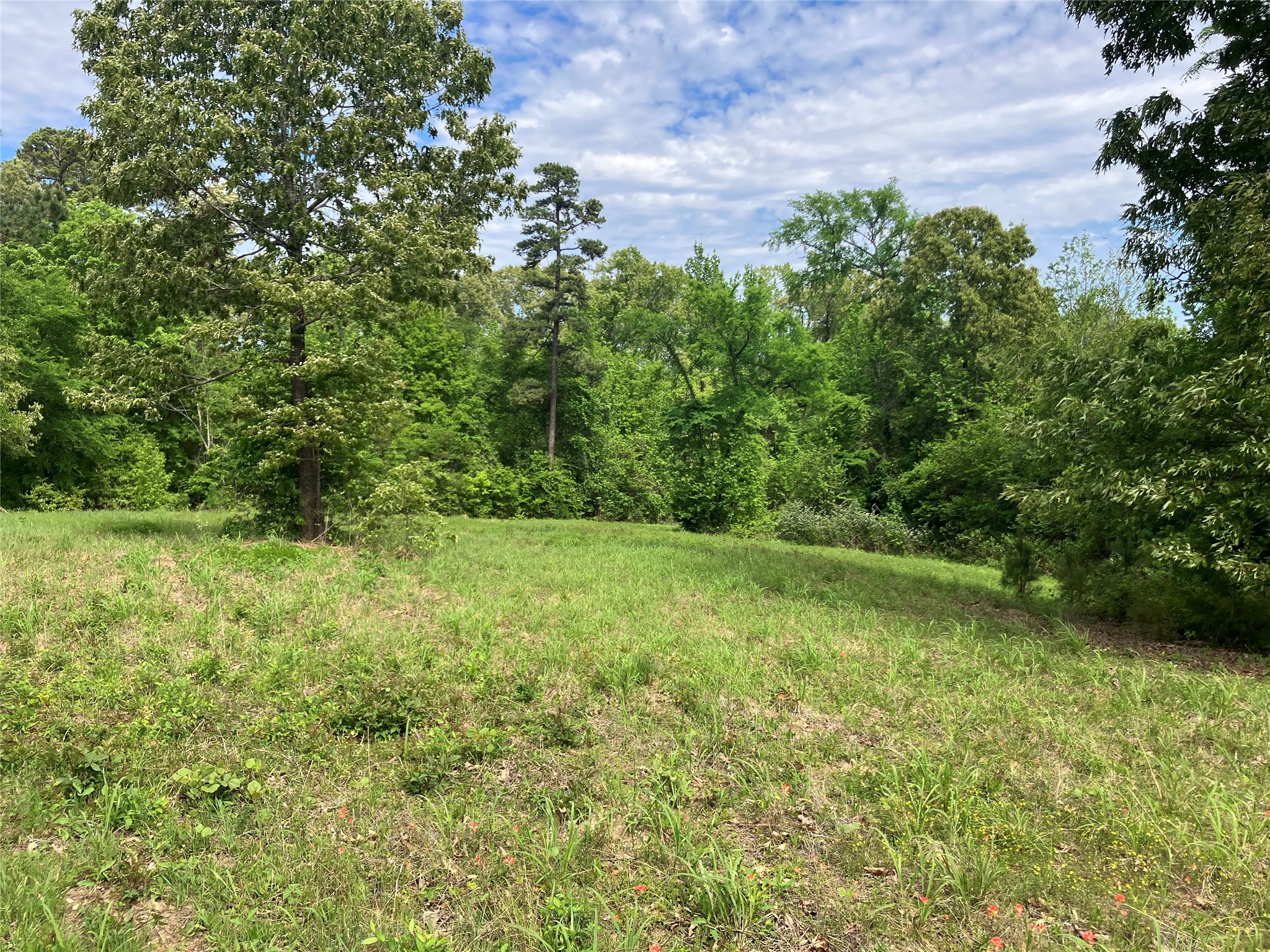 Tbd Ridgeline Loop Winona TX 75792