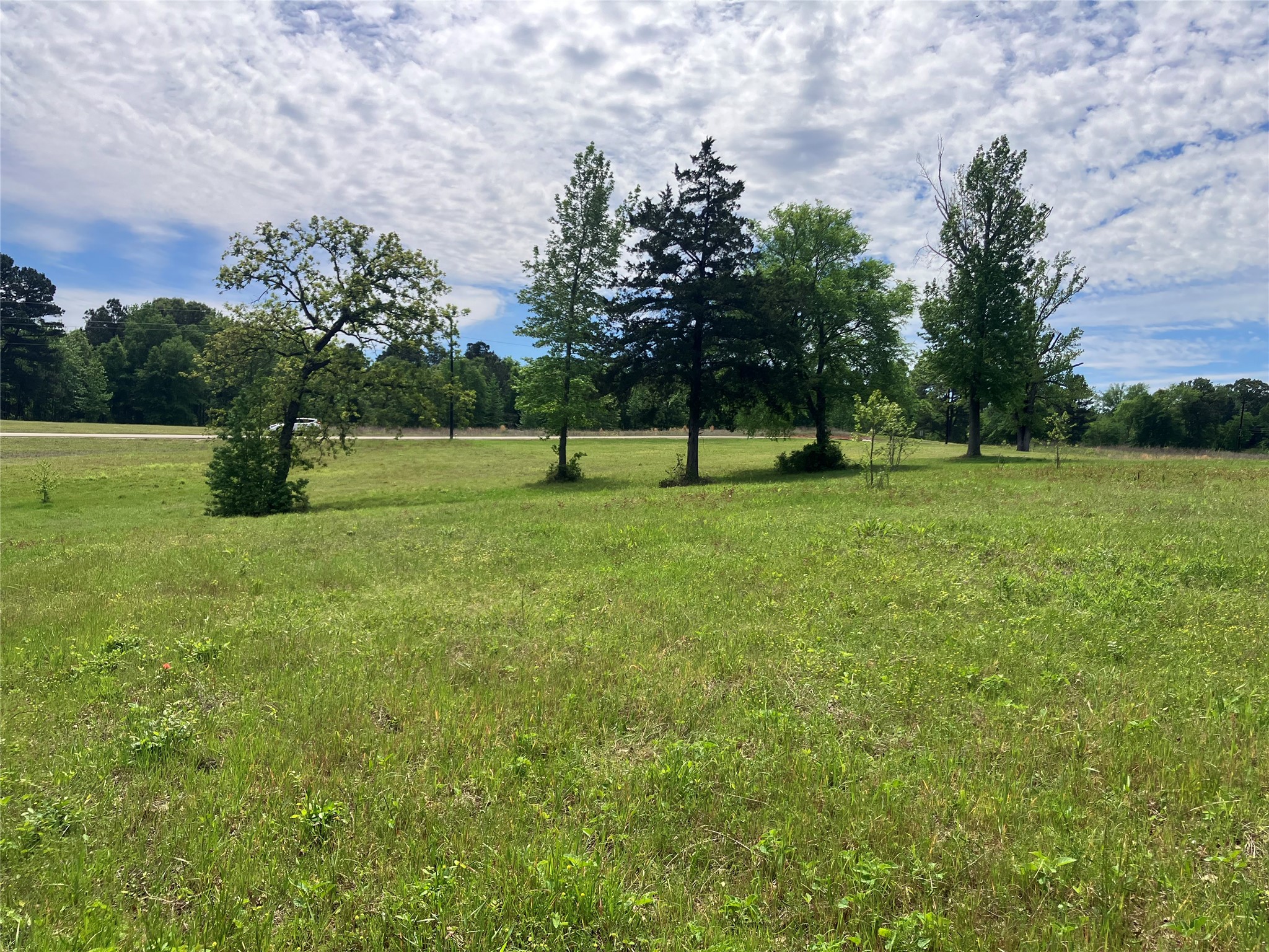 Tbd Ridgeline Loop Winona TX 75792
