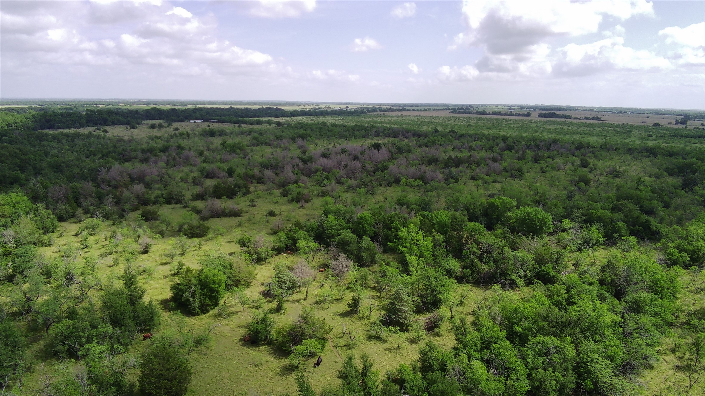 Tbd Lcr 663 Kosse TX 76653