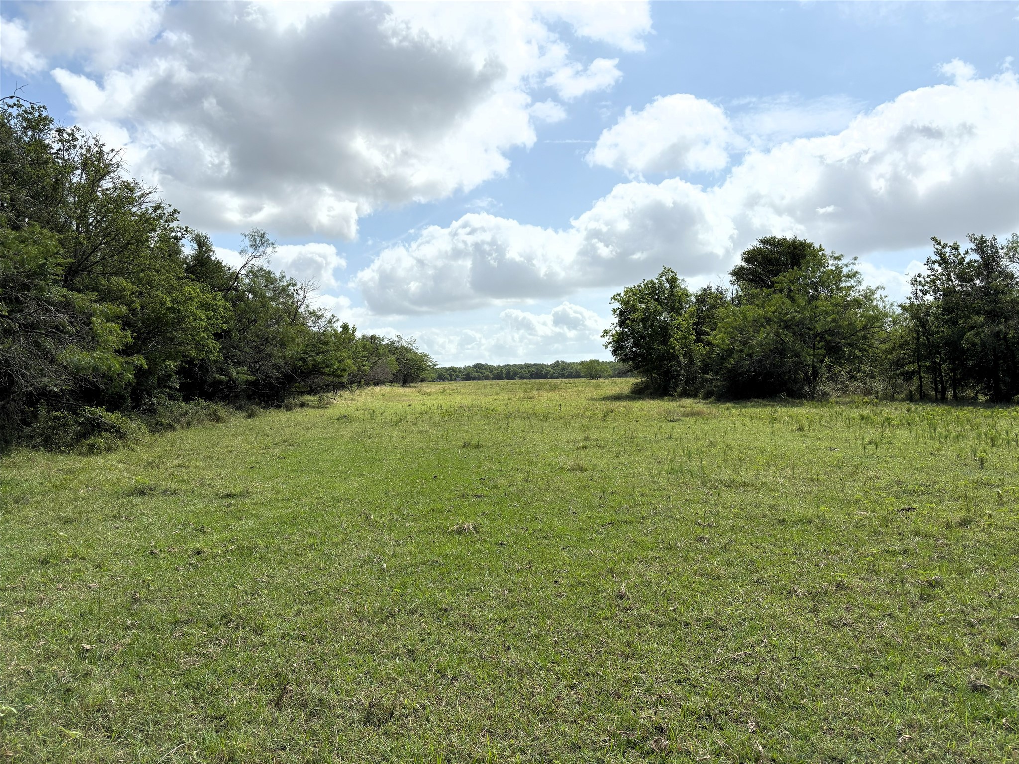 Tbd Lcr 663 Kosse TX 76653