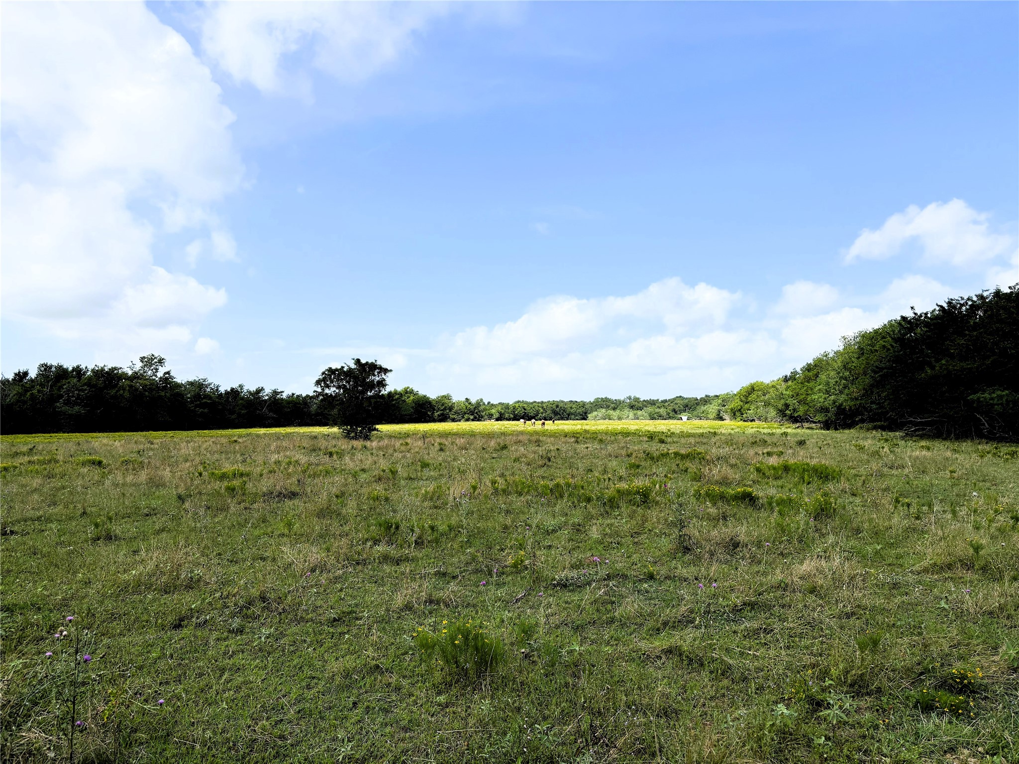Tbd Lcr 663 Kosse TX 76653