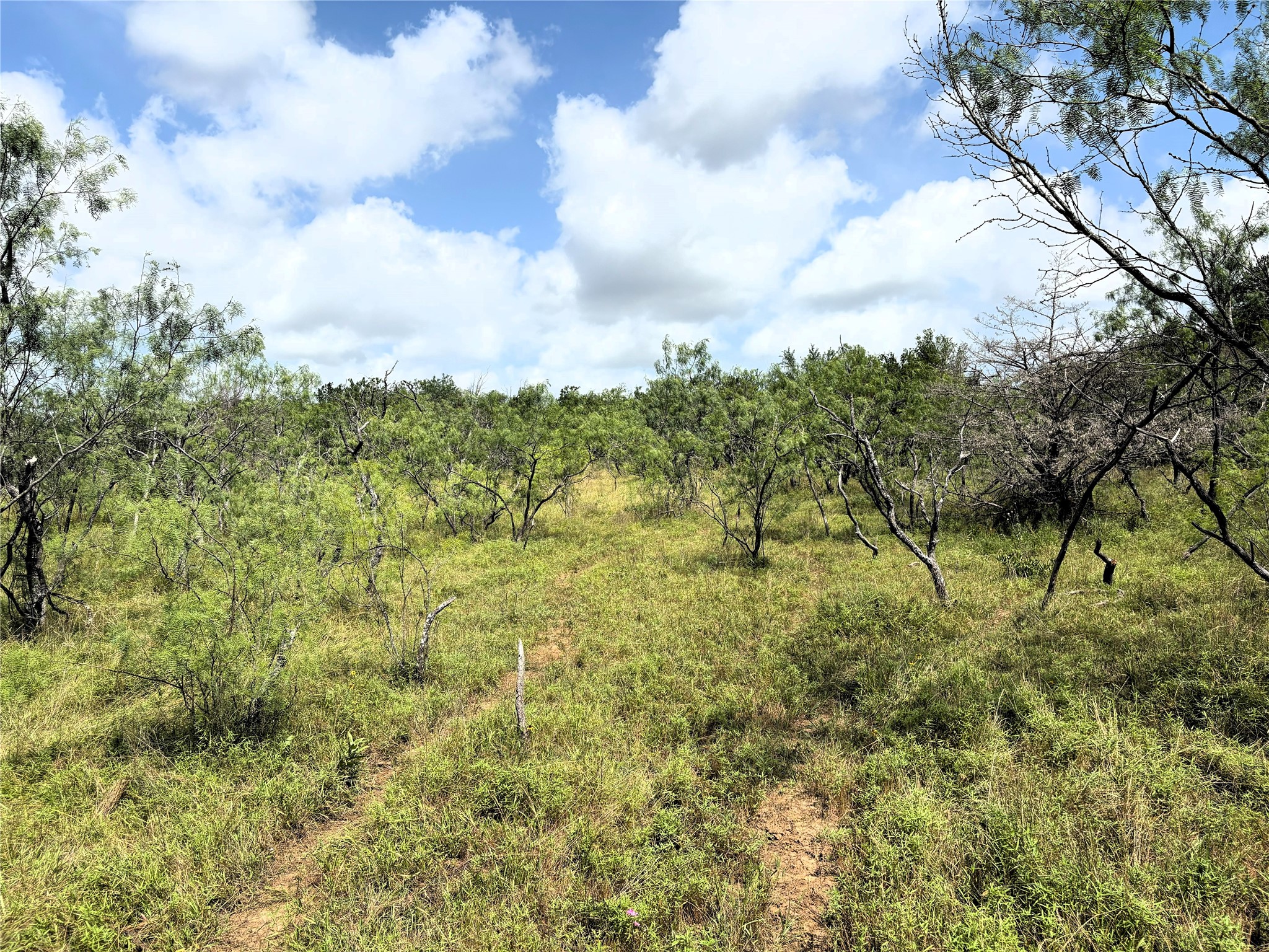 Tbd Lcr 663 Kosse TX 76653