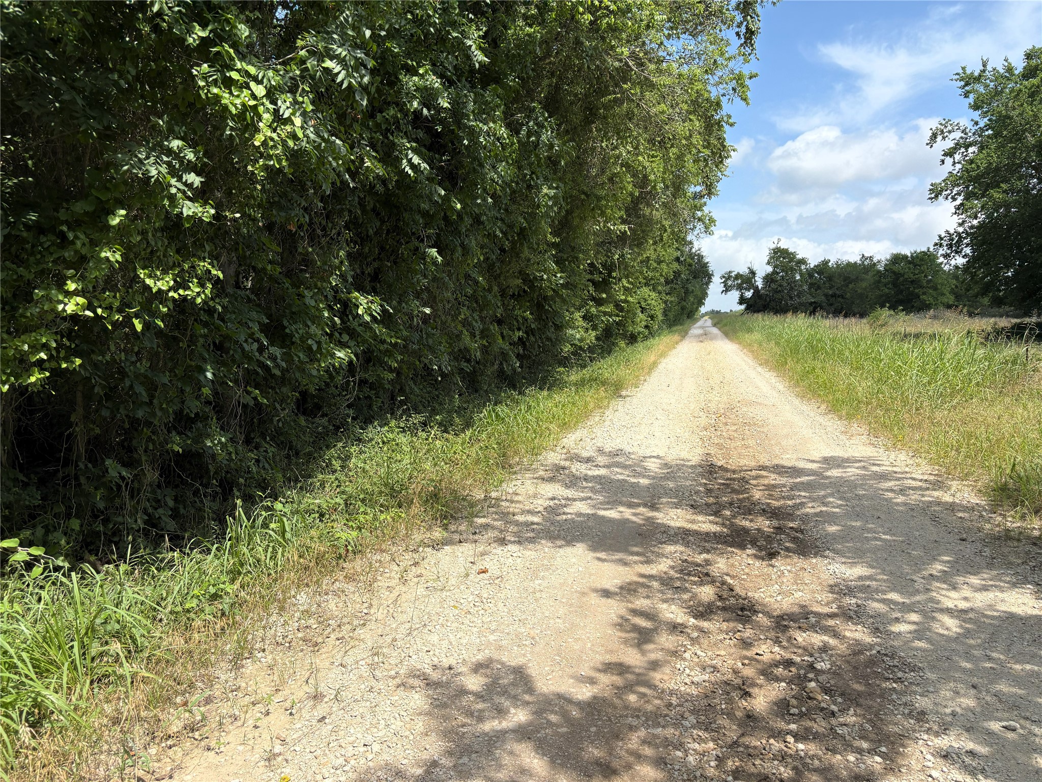 Tbd Lcr 663 Kosse TX 76653