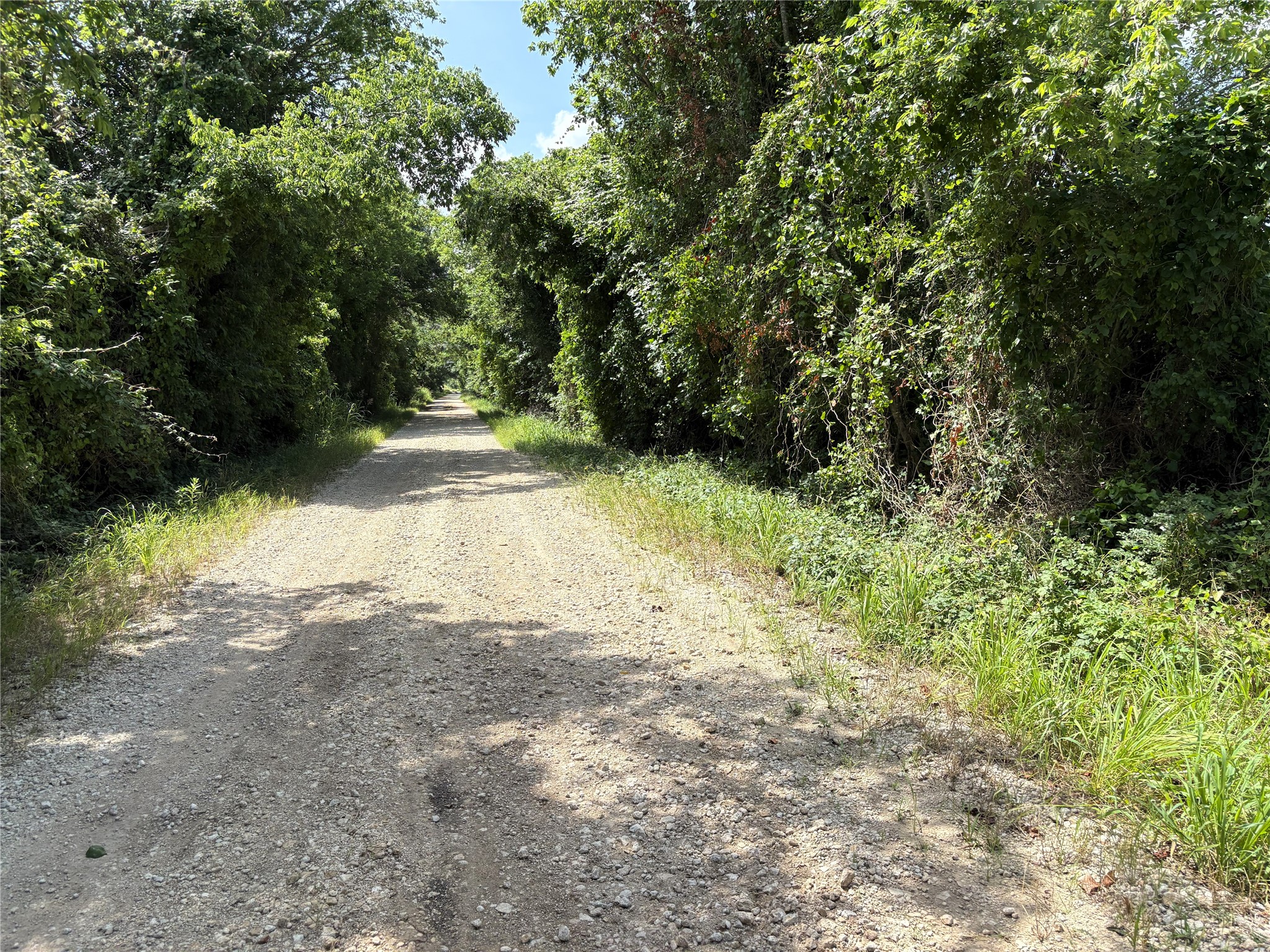 Tbd Lcr 663 Kosse TX 76653