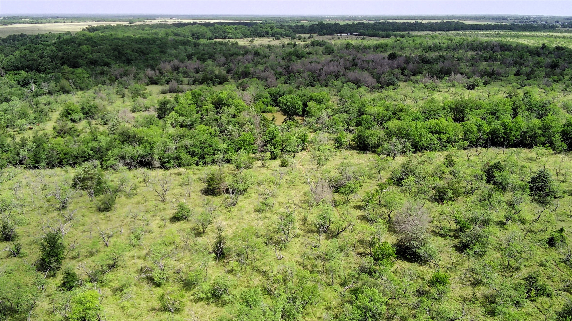 Tbd Lcr 663 Kosse TX 76653