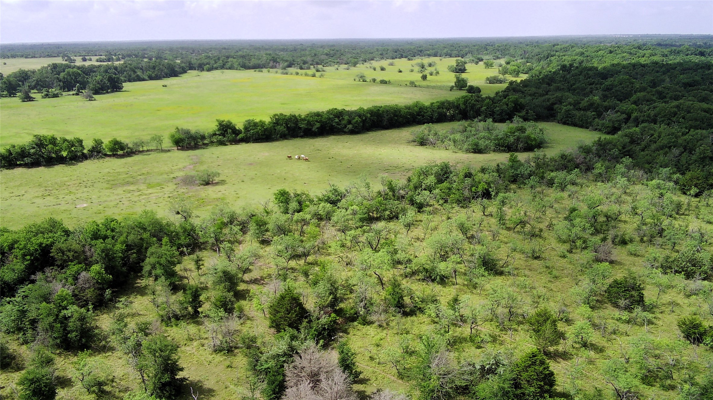 Tbd Lcr 663 Kosse TX 76653