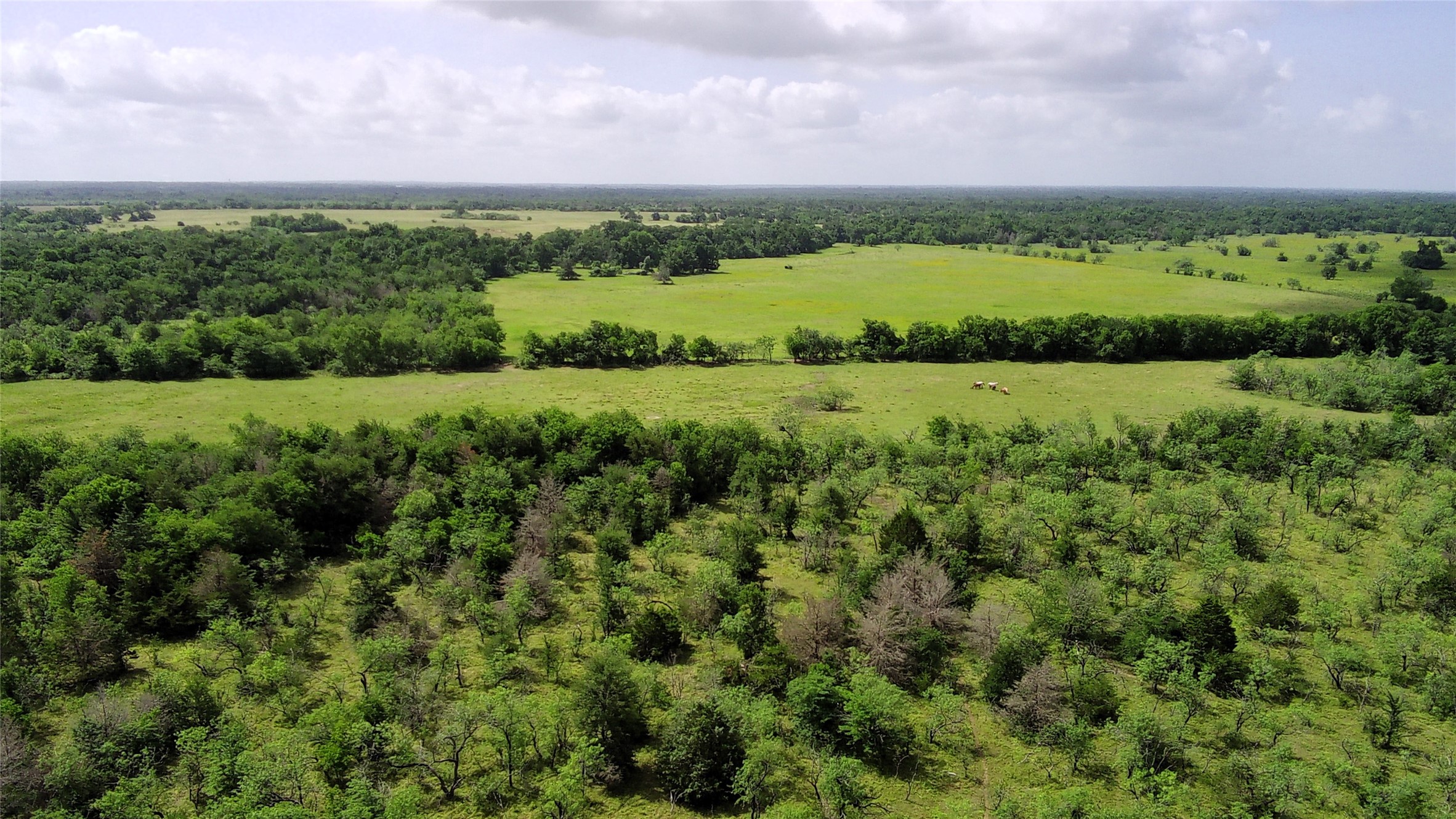 Tbd Lcr 663 Kosse TX 76653