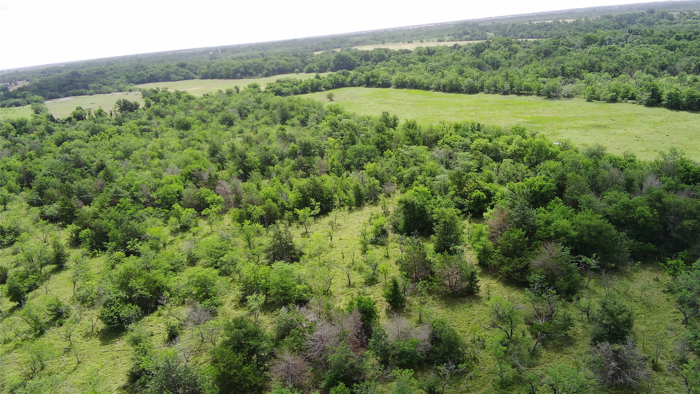 Tbd Lcr 663 Kosse TX 76653