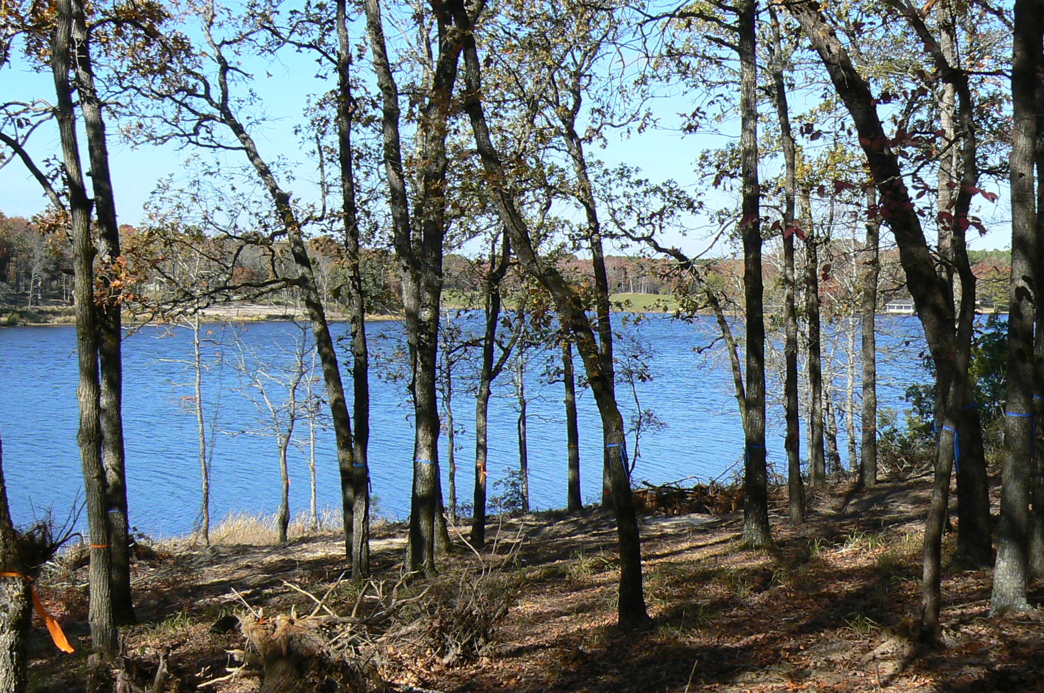 9122 Safari Bluff Larue TX 75770