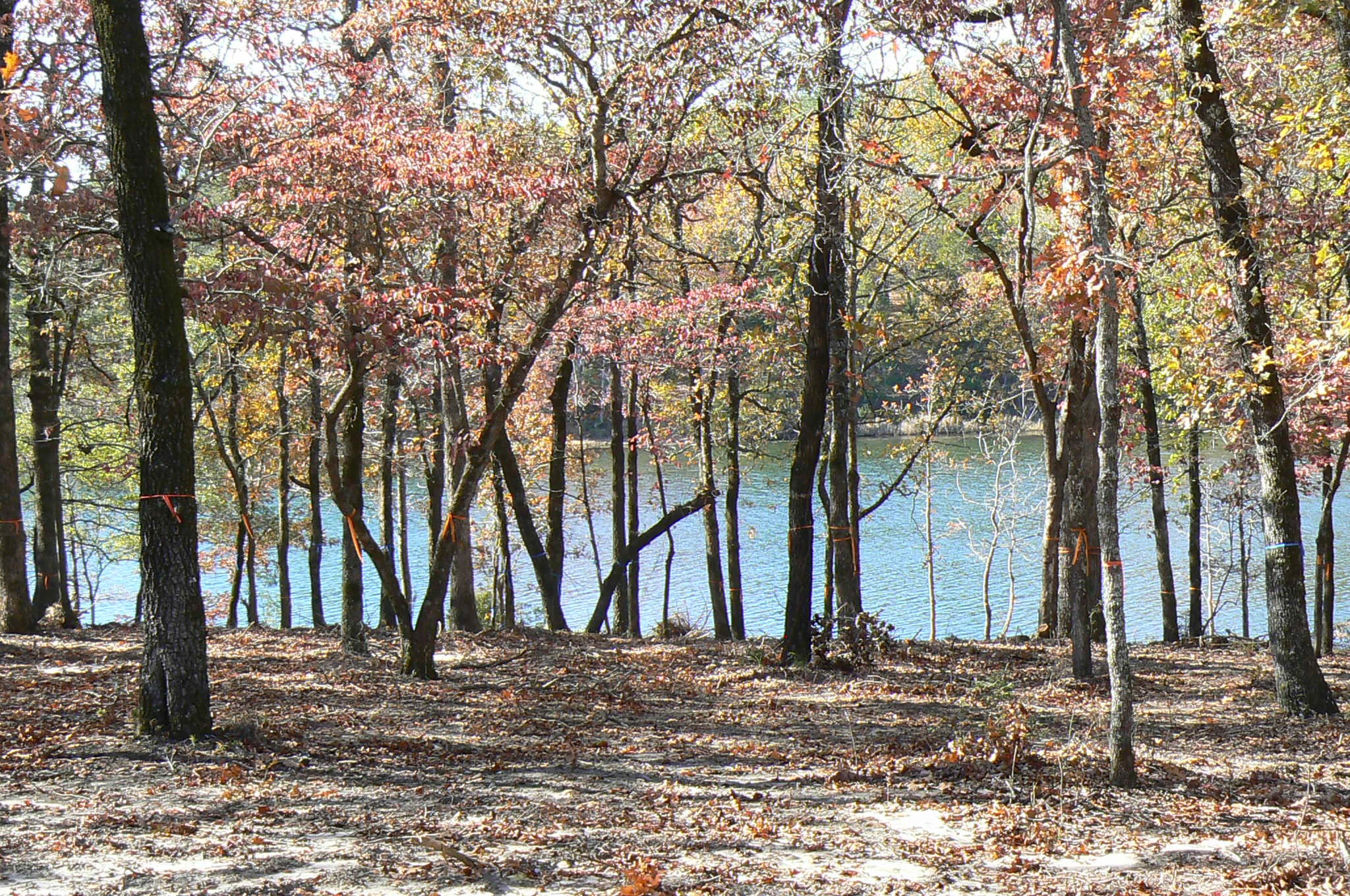 9122 Safari Bluff Larue TX 75770