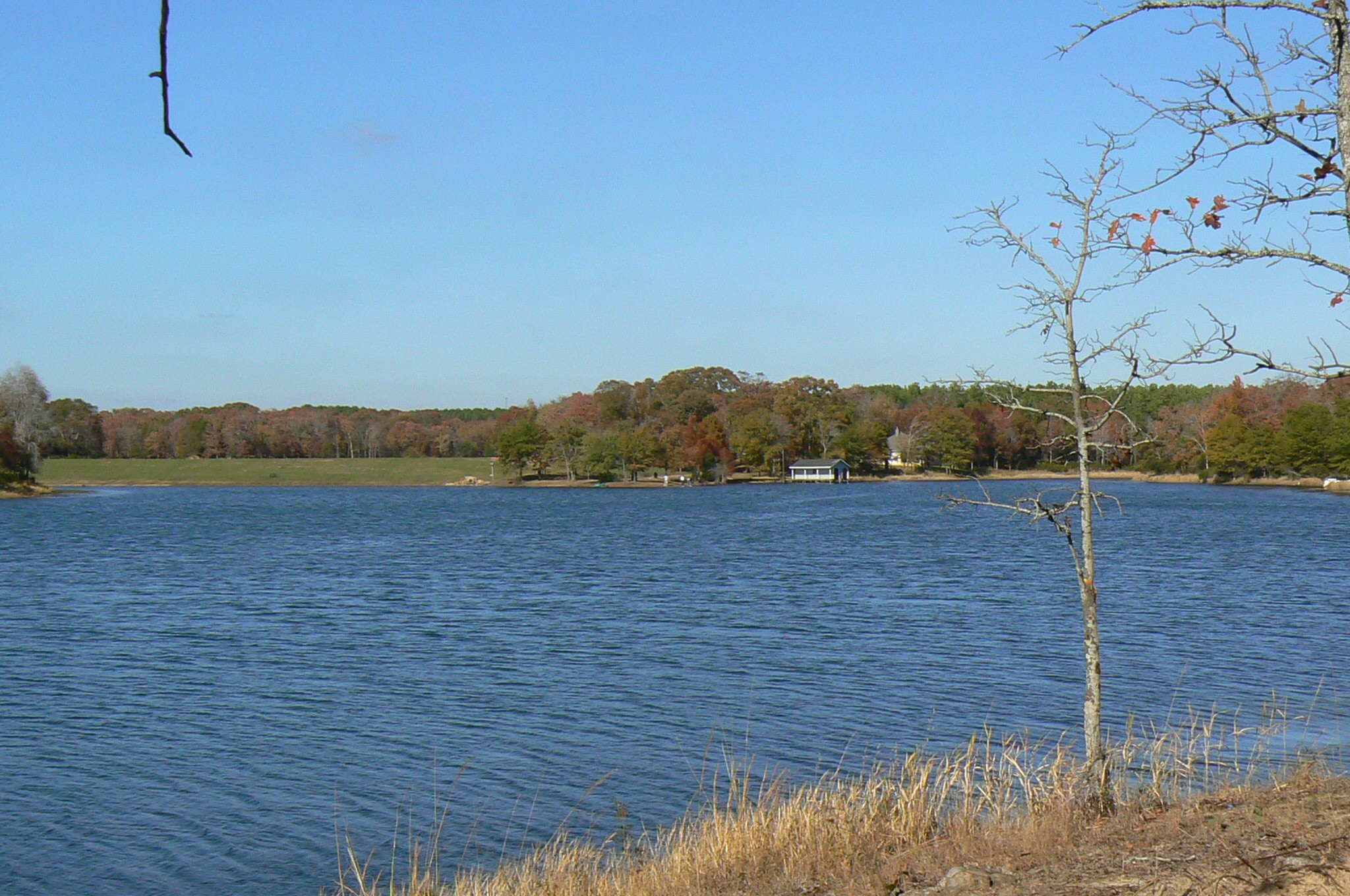 9122 Safari Bluff Larue TX 75770