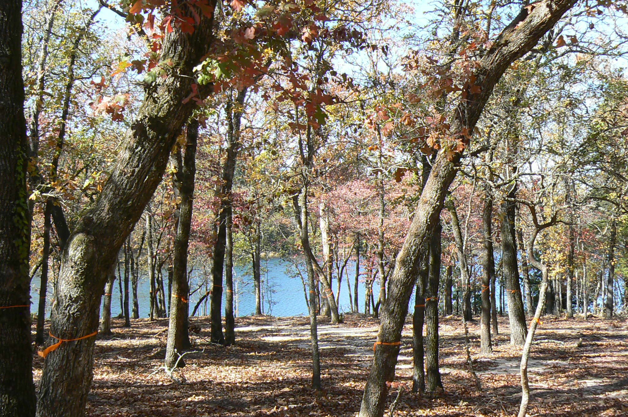 9122 Safari Bluff Larue TX 75770