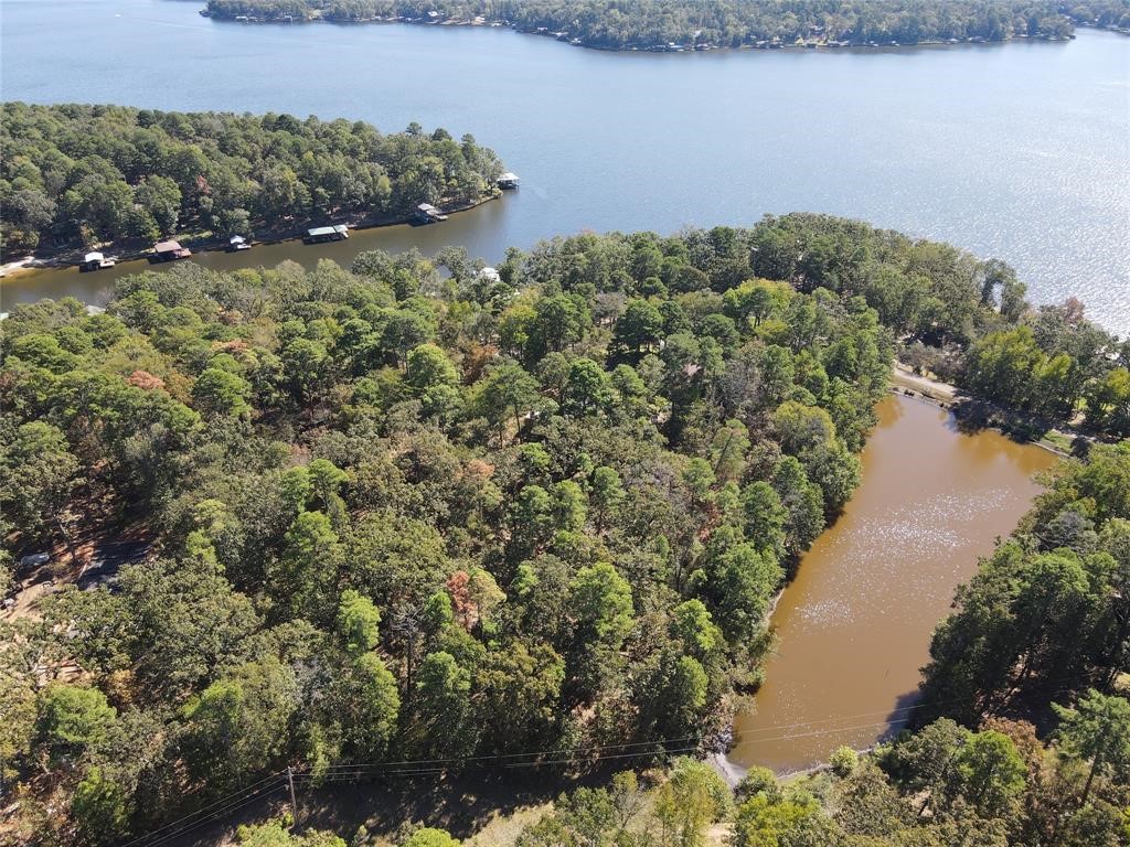 Tbd King Bruce Road Scroggins TX 75480