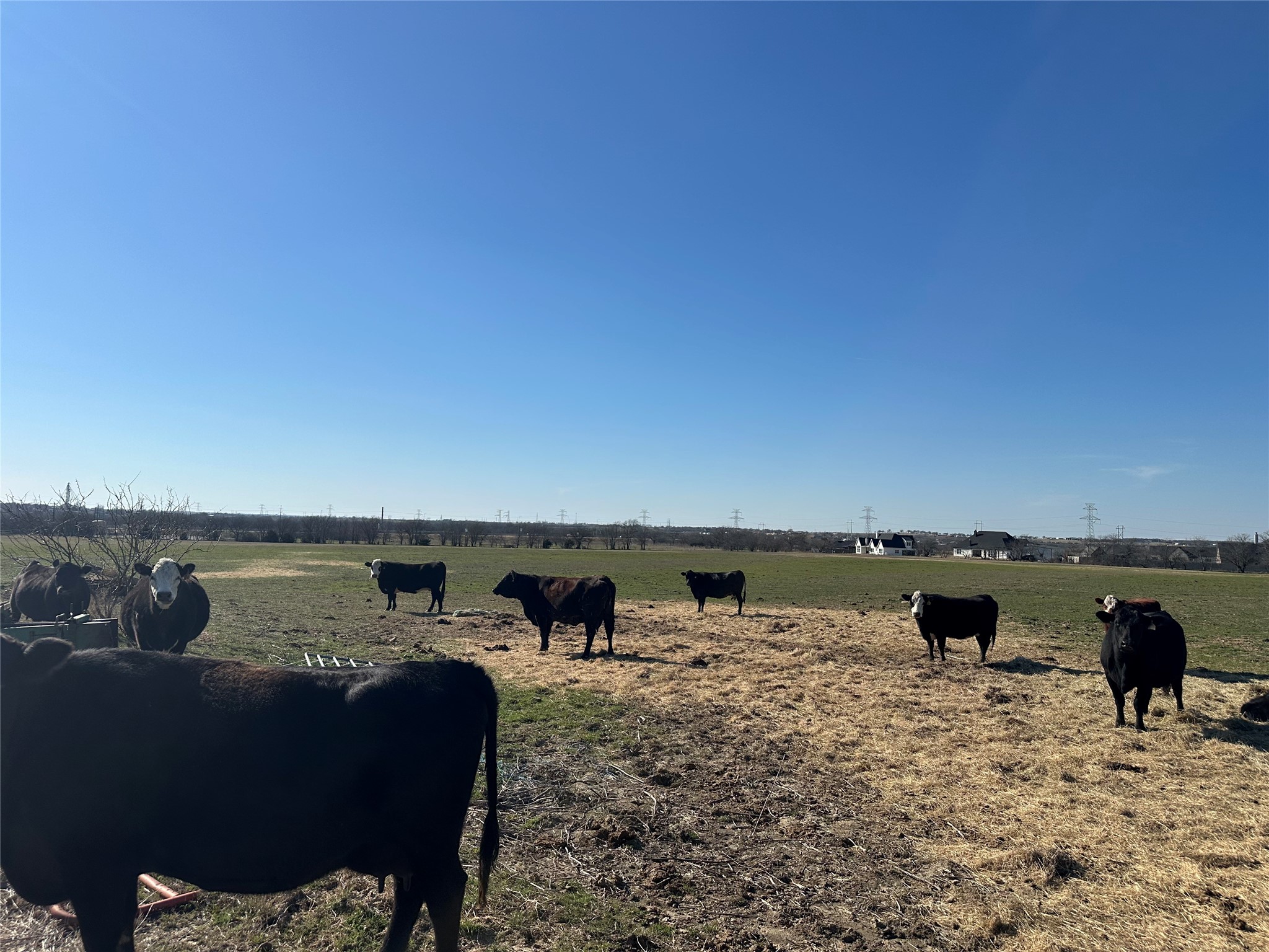 4469 County Road 1022 Cleburne TX 76033