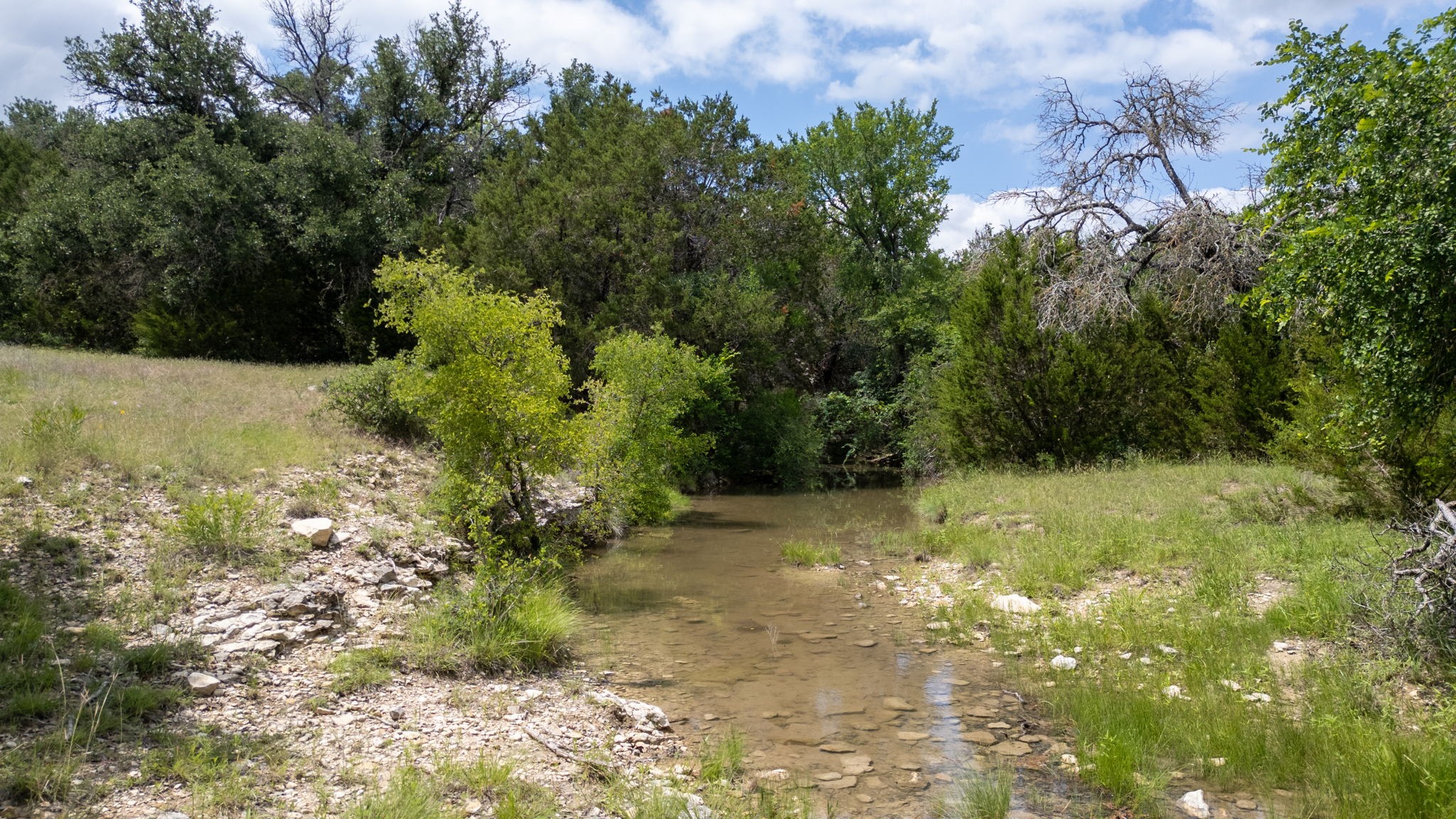 1233 County Road 434 Hamilton TX 76531