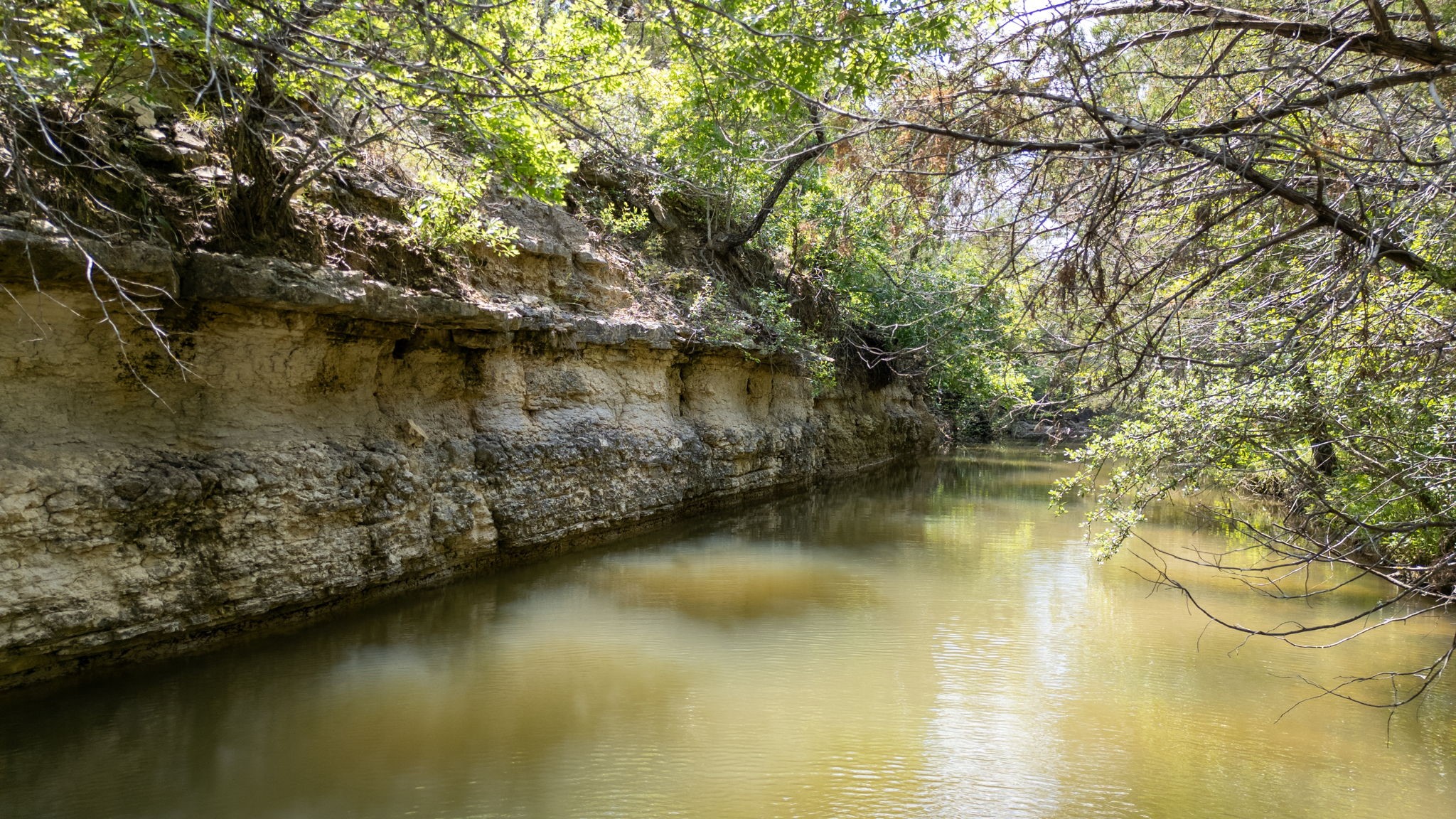 1233 County Road 434 Hamilton TX 76531