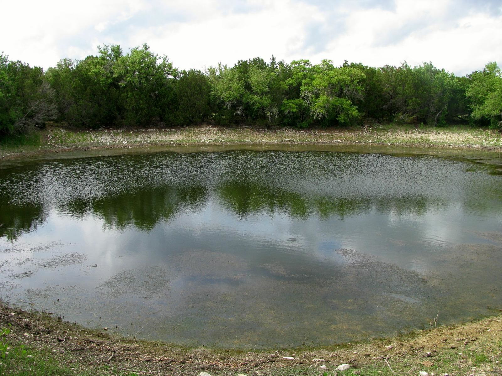1233 County Road 434 Hamilton TX 76531
