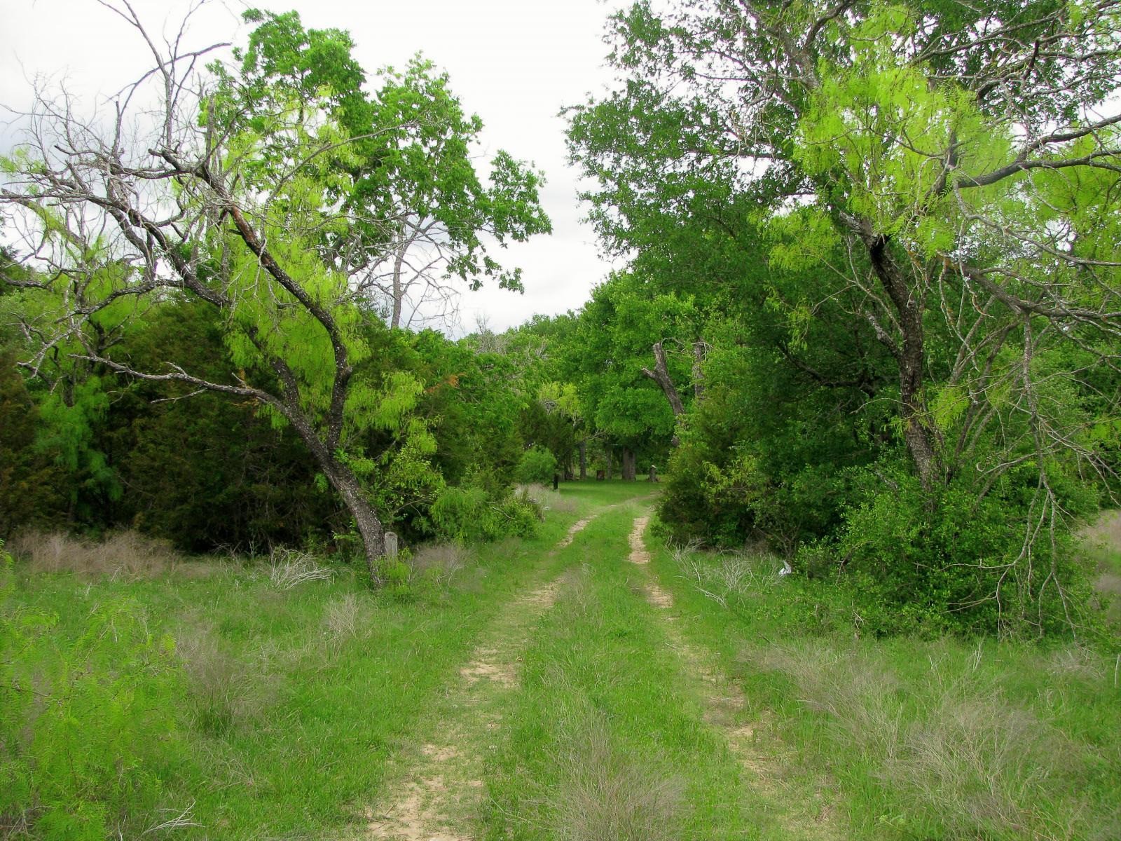 1233 County Road 434 Hamilton TX 76531