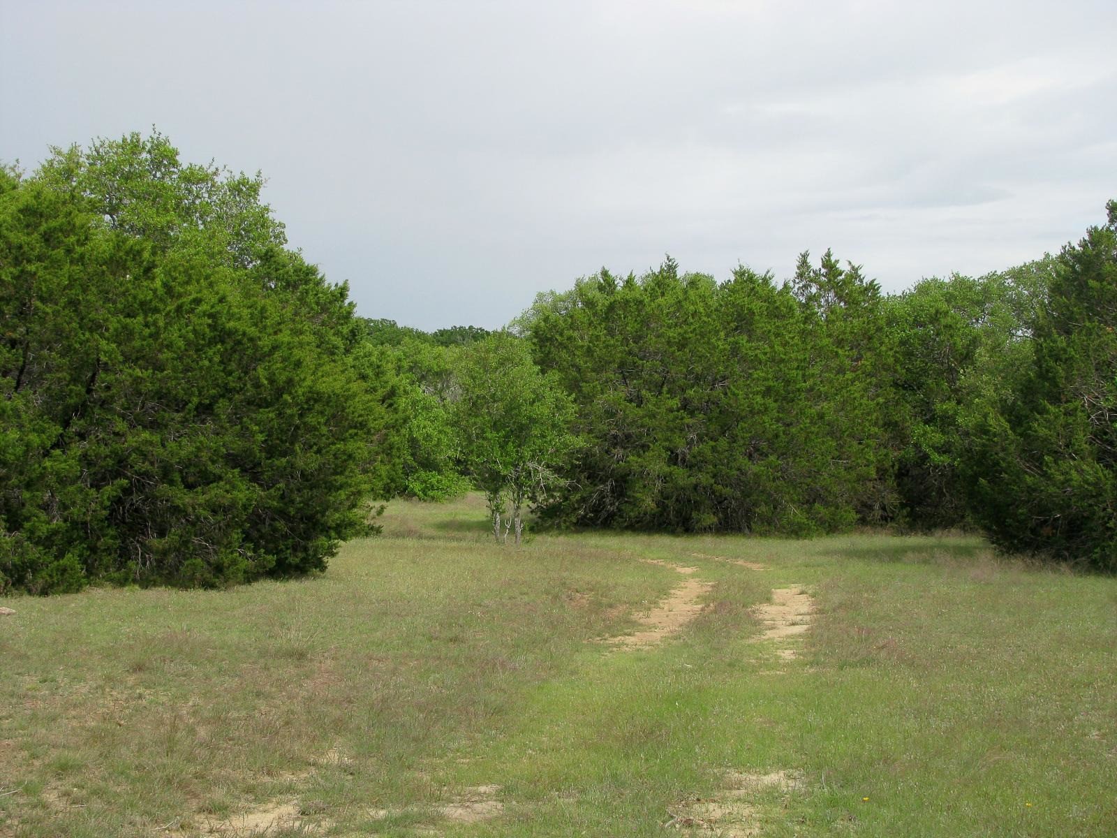 1233 County Road 434 Hamilton TX 76531