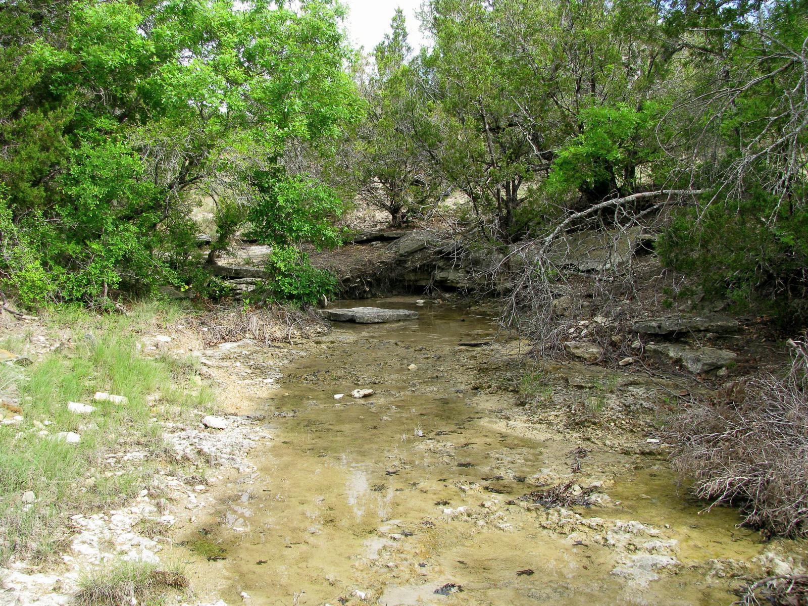 1233 County Road 434 Hamilton TX 76531