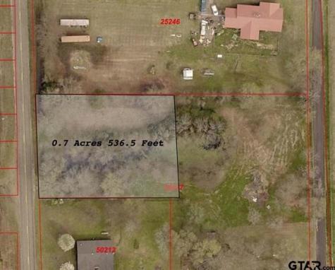 To Be Determined Fm 1799 Alba TX 75410