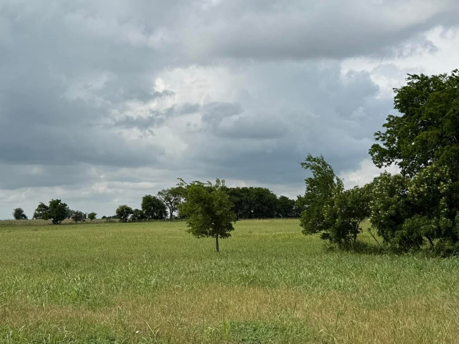 1162 County Road 134 Burlington TX 76519