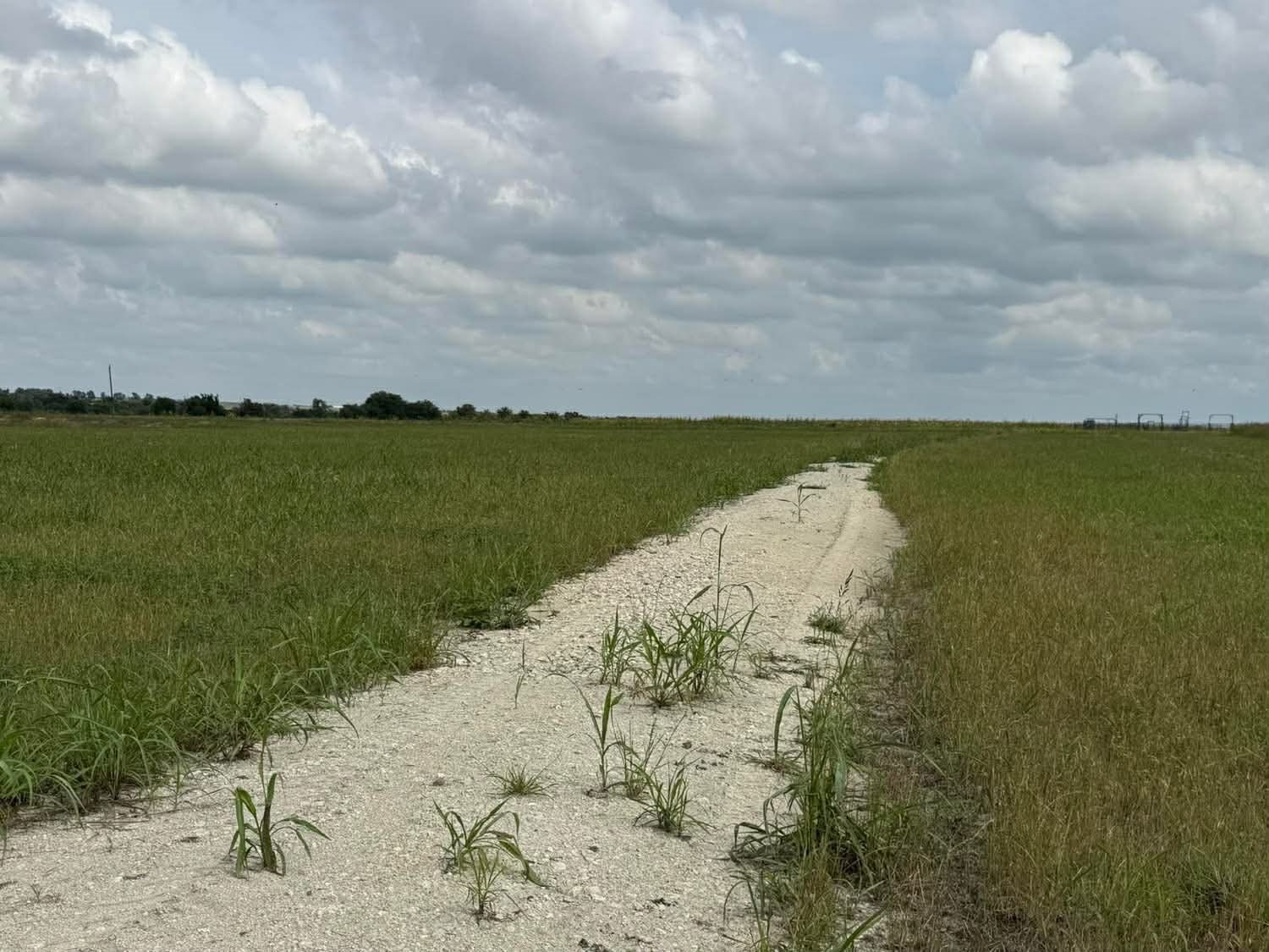 1162 County Road 134 Burlington TX 76519