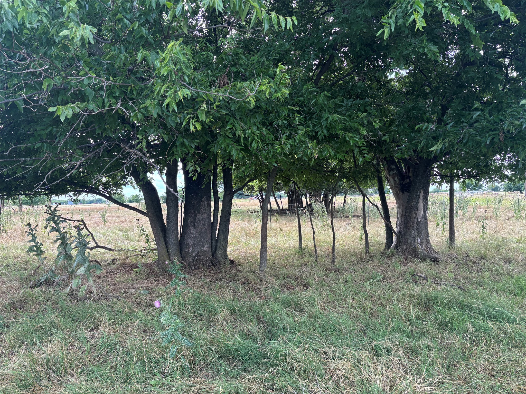 210.95 Fm 922 Valley View TX 76272
