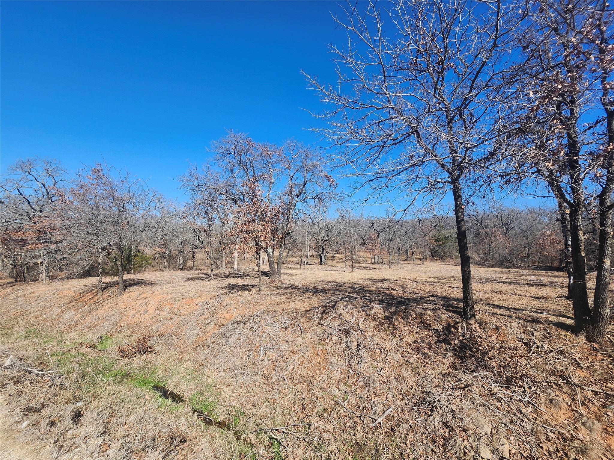 259 Comanche Trail Nocona TX 76255