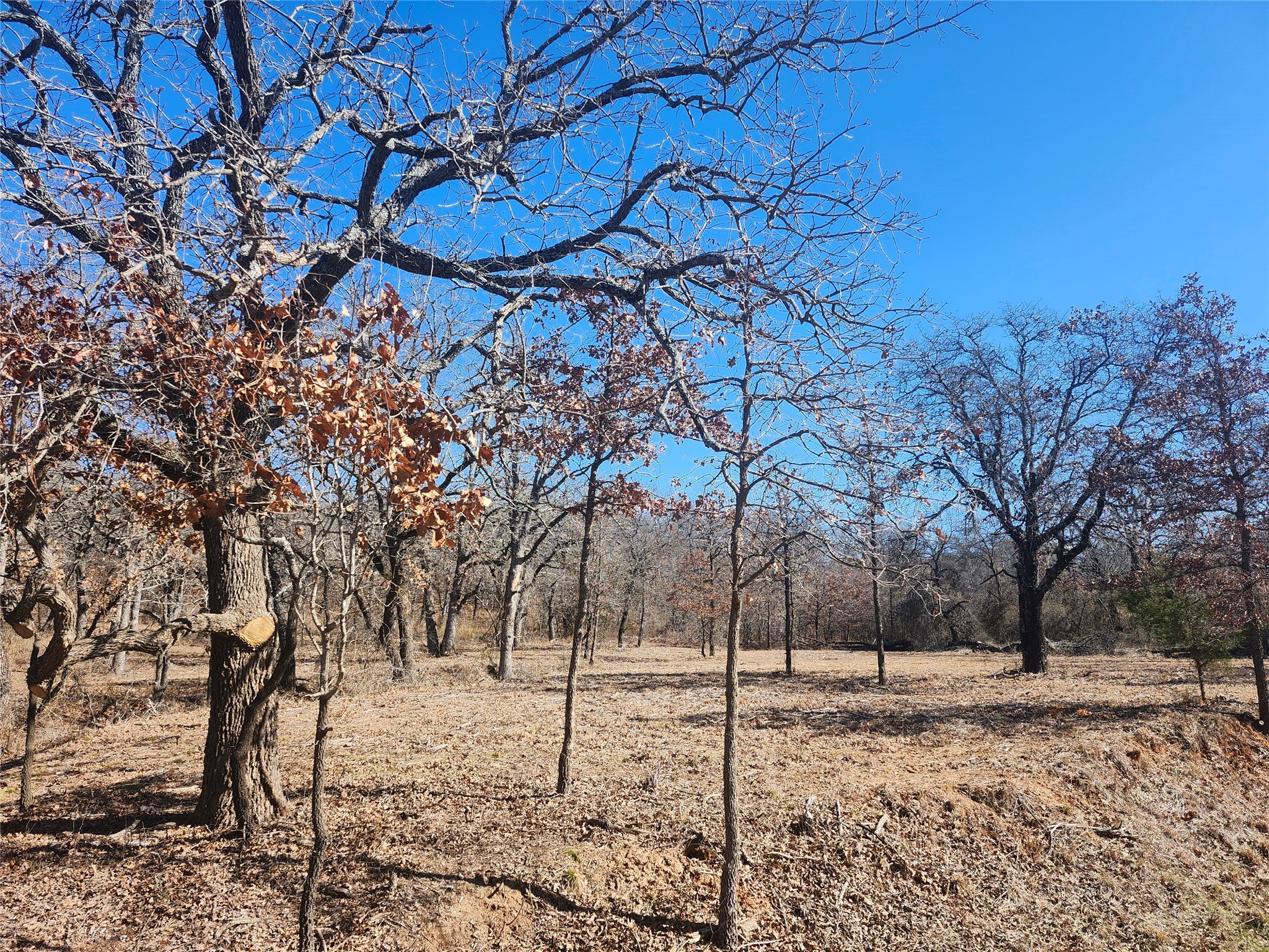 259 Comanche Trail Nocona TX 76255