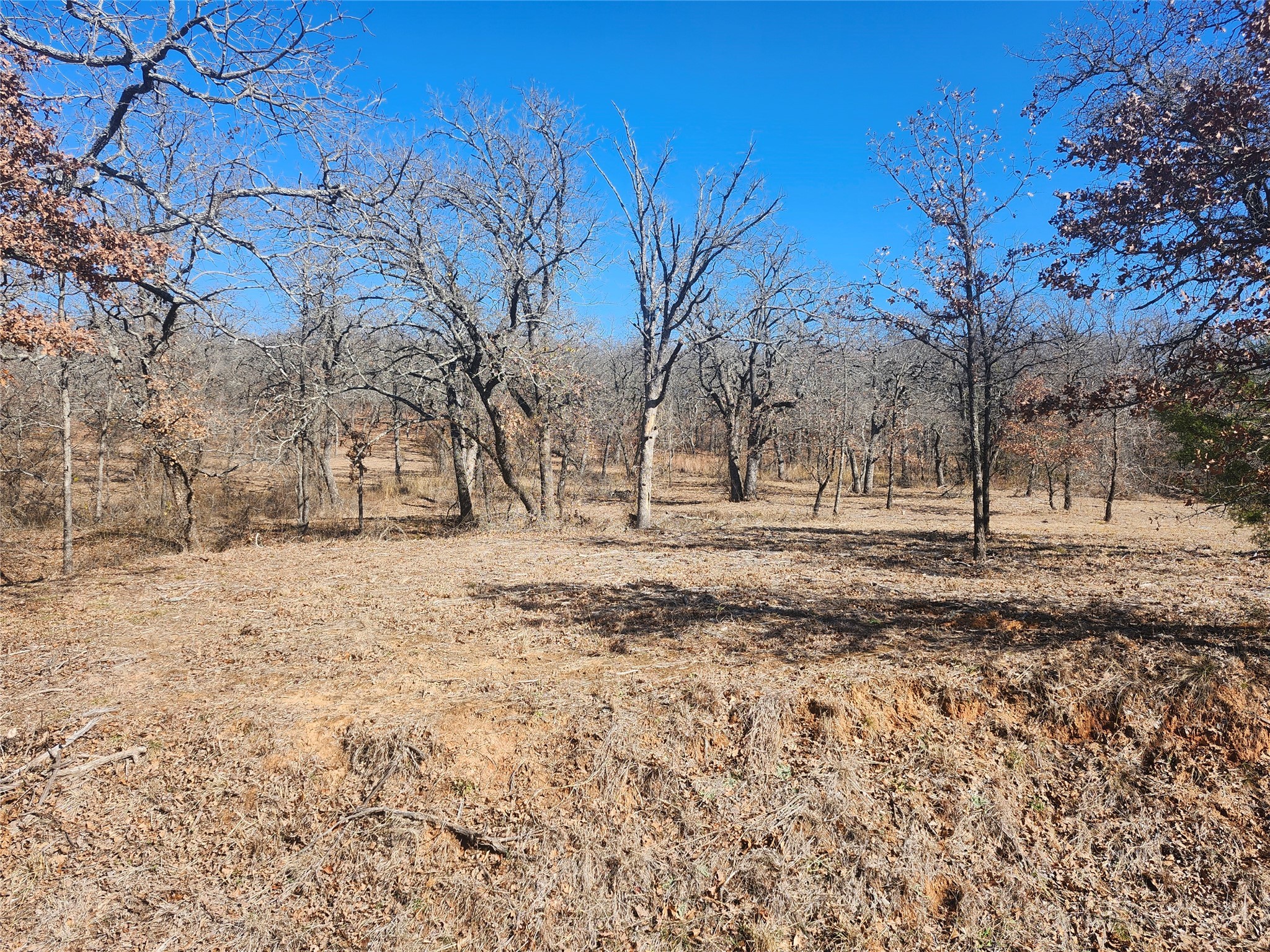 259 Comanche Trail Nocona TX 76255