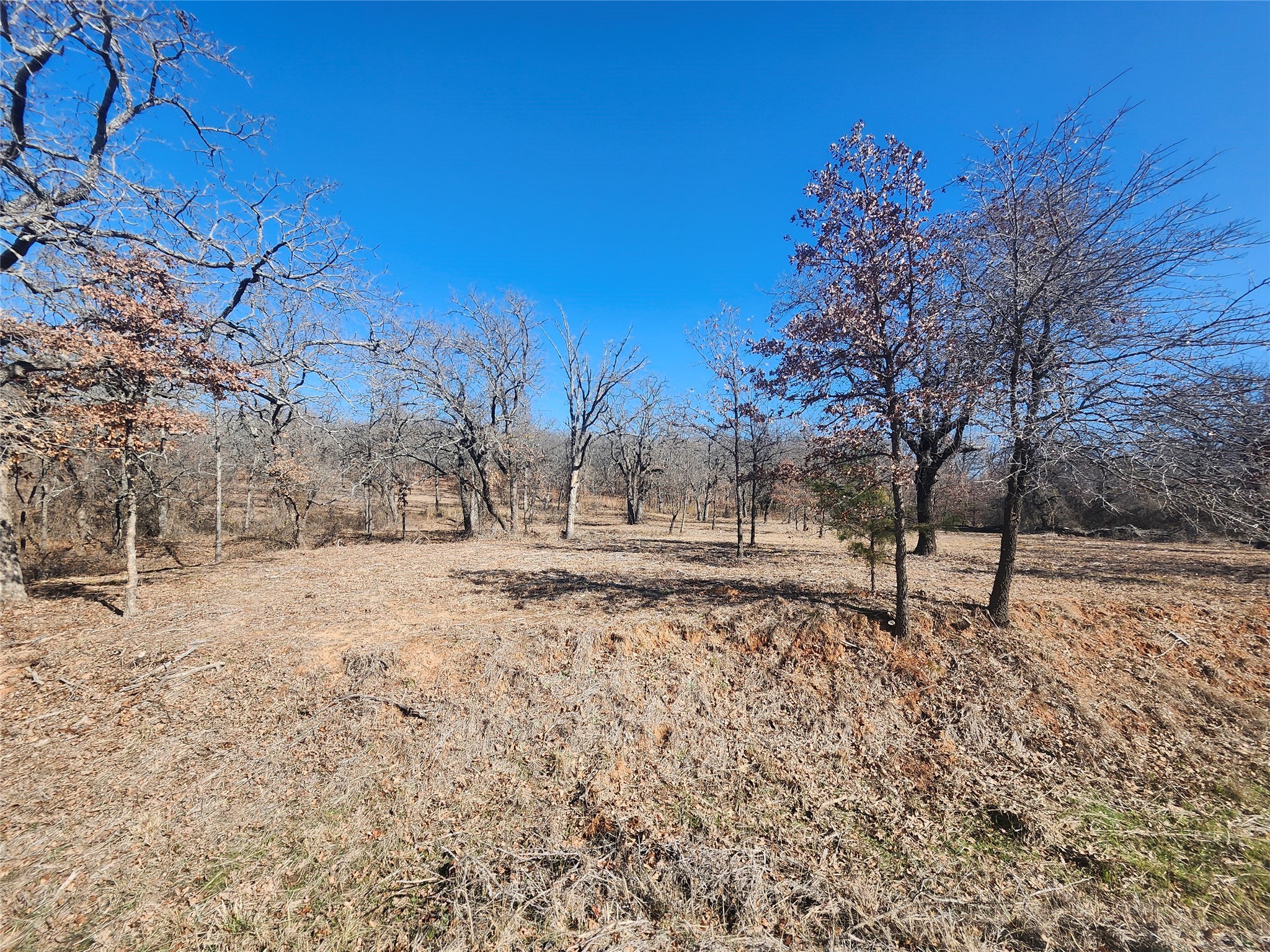 259 Comanche Trail Nocona TX 76255