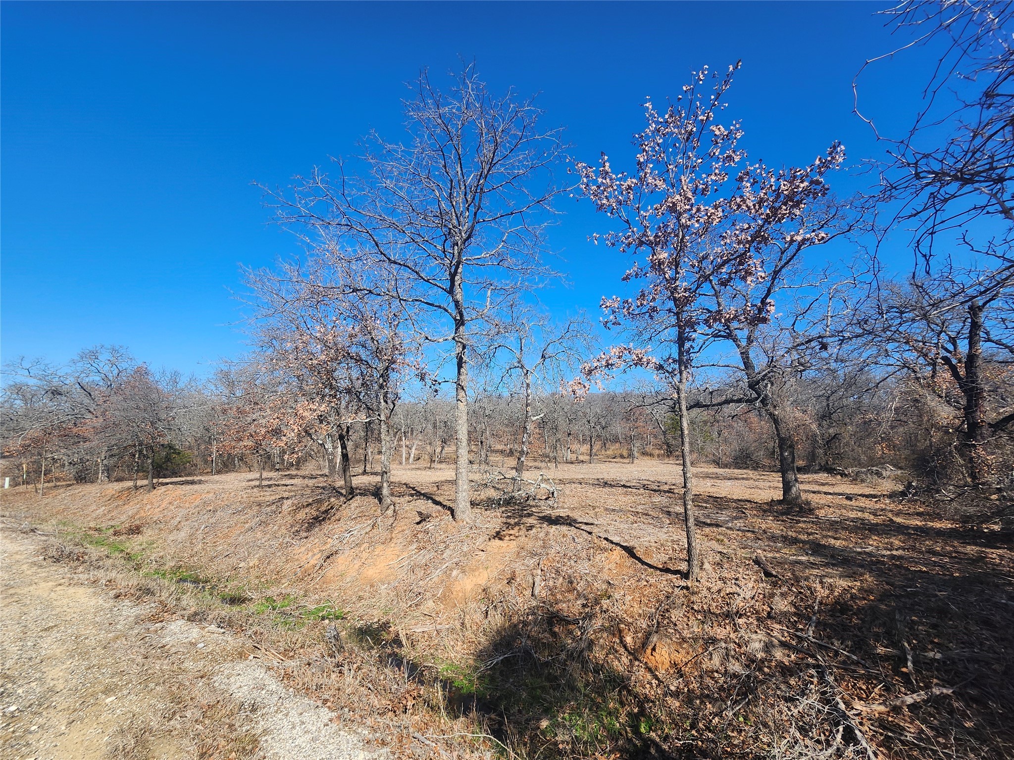 259 Comanche Trail Nocona TX 76255