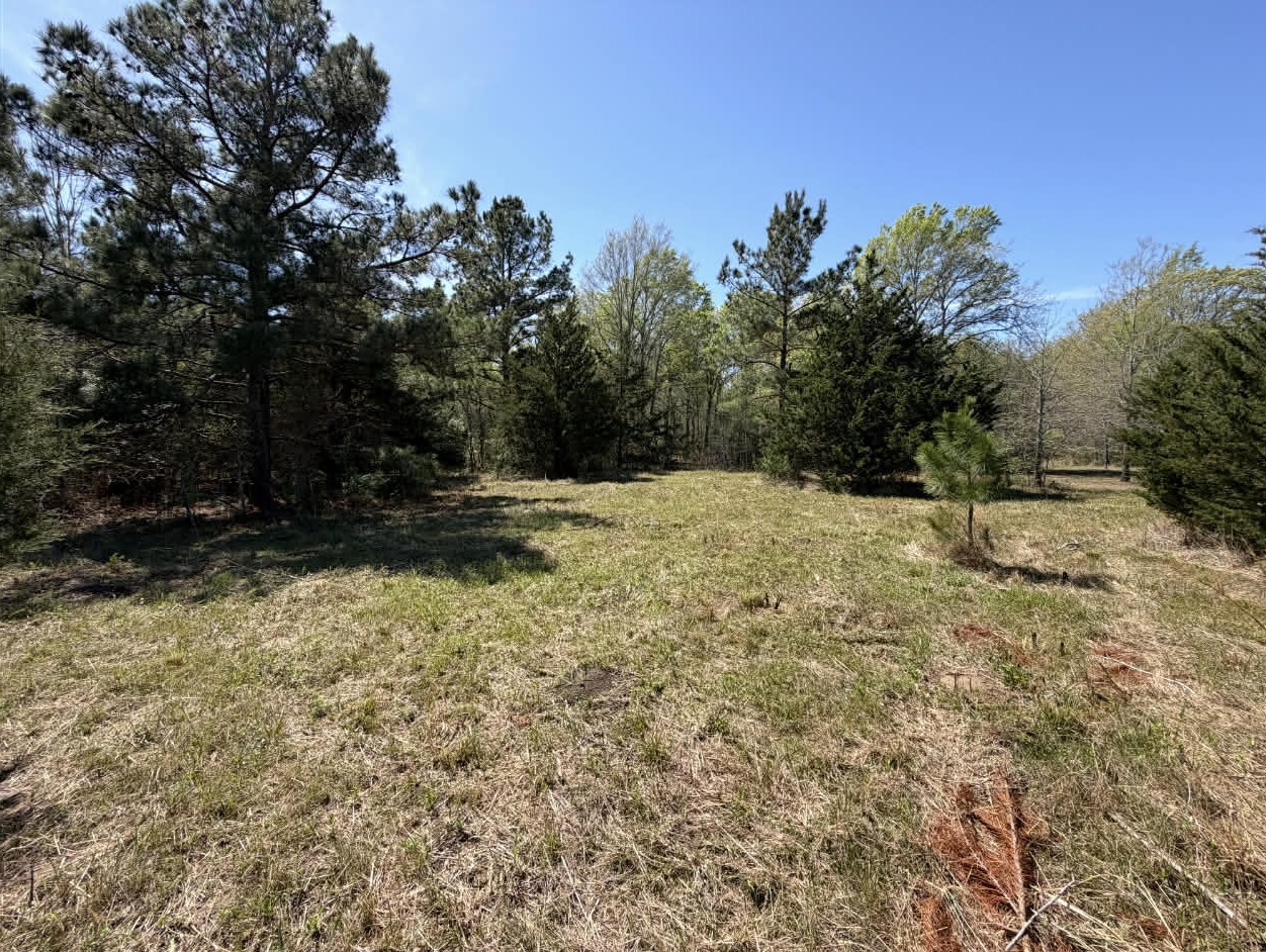 Tract 2 Fm 542 Oakwood TX 75855