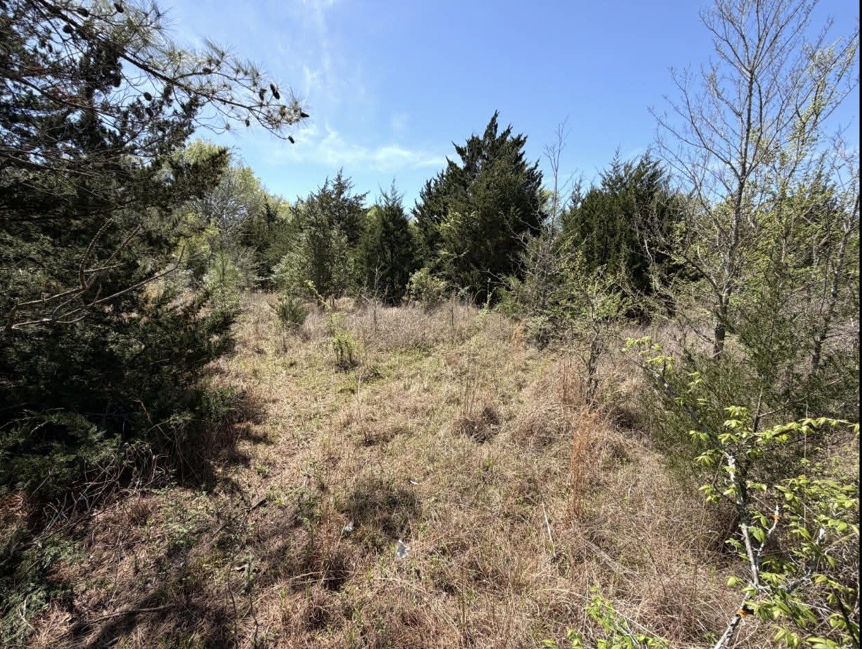 Tract 2 Fm 542 Oakwood TX 75855